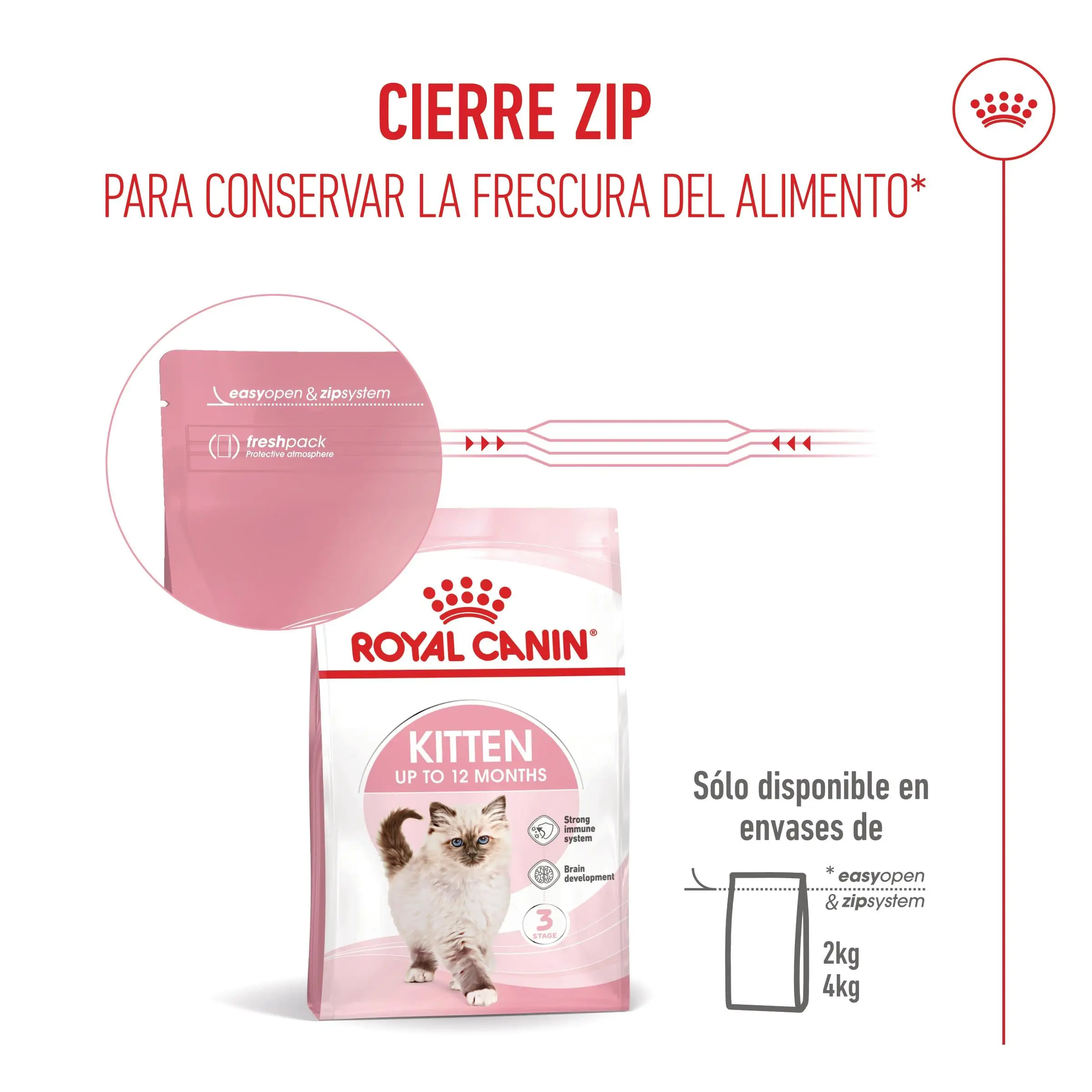 Royal Canin Kitten Pienso para Gatitos - Image 7