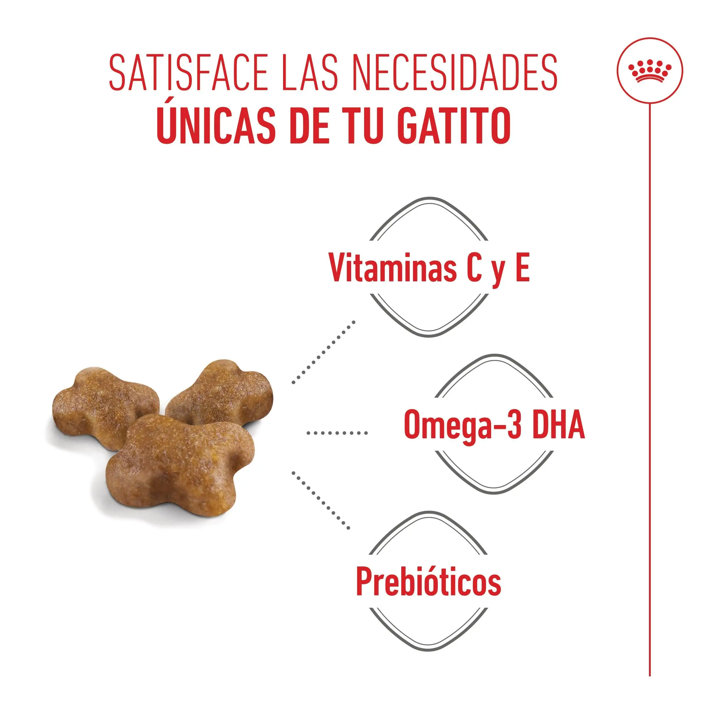 Royal Canin Kitten Pienso para Gatitos - Image 9