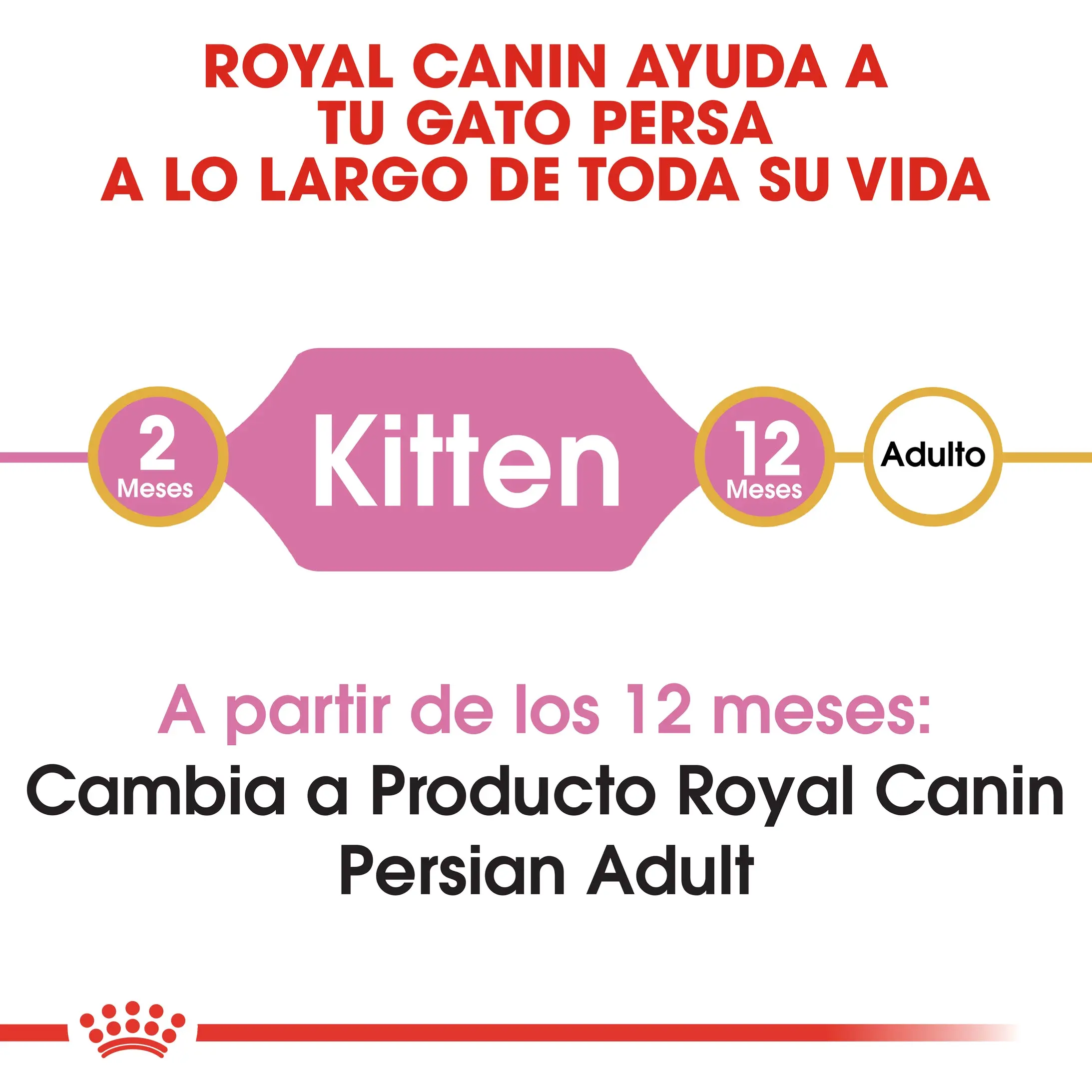 Royal Canin Kitten Persian Pienso Seco para Gatitos Persas - Image 3