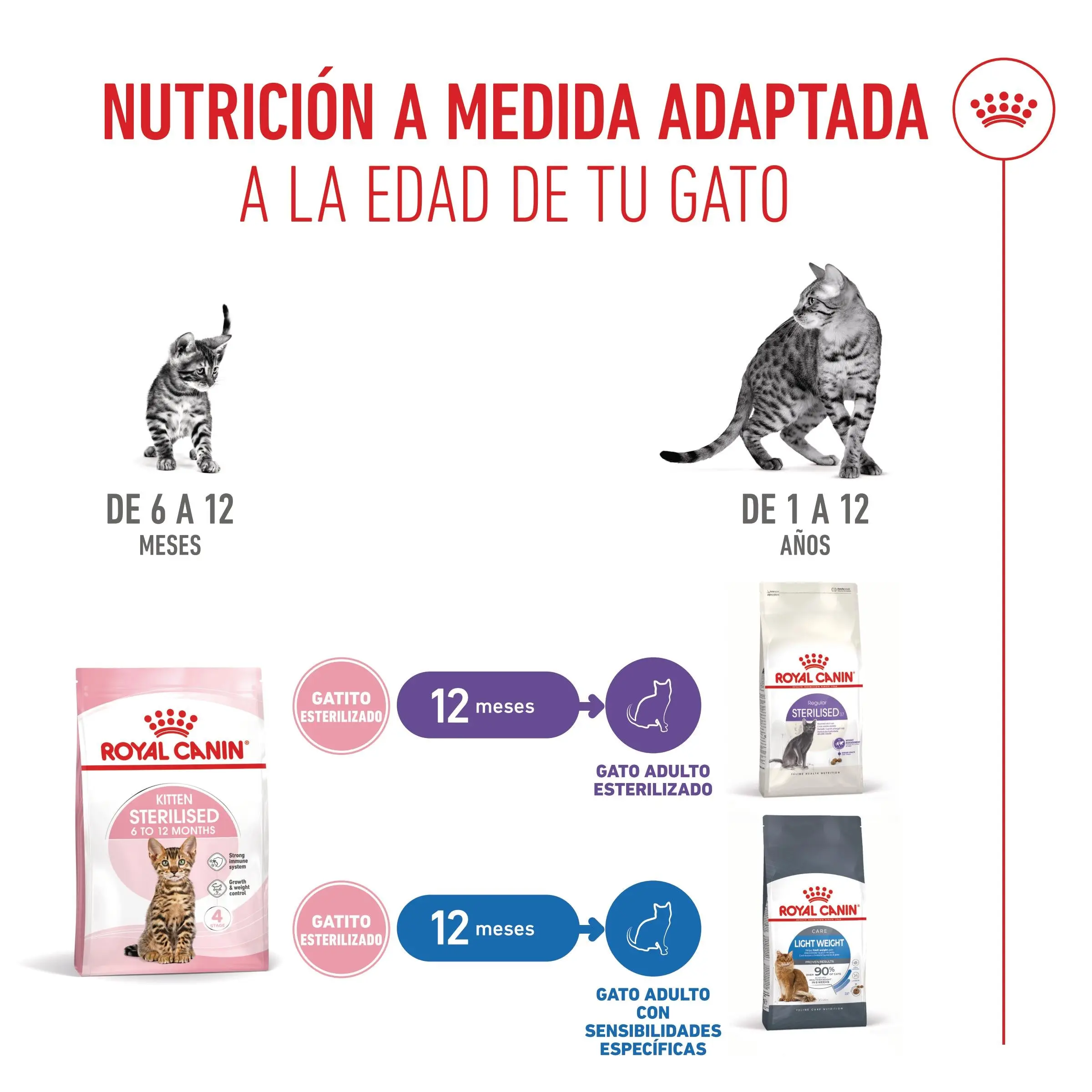 Royal Canin Kitten Sterilized Pienso para Gatitos Esterilizados - Image 3
