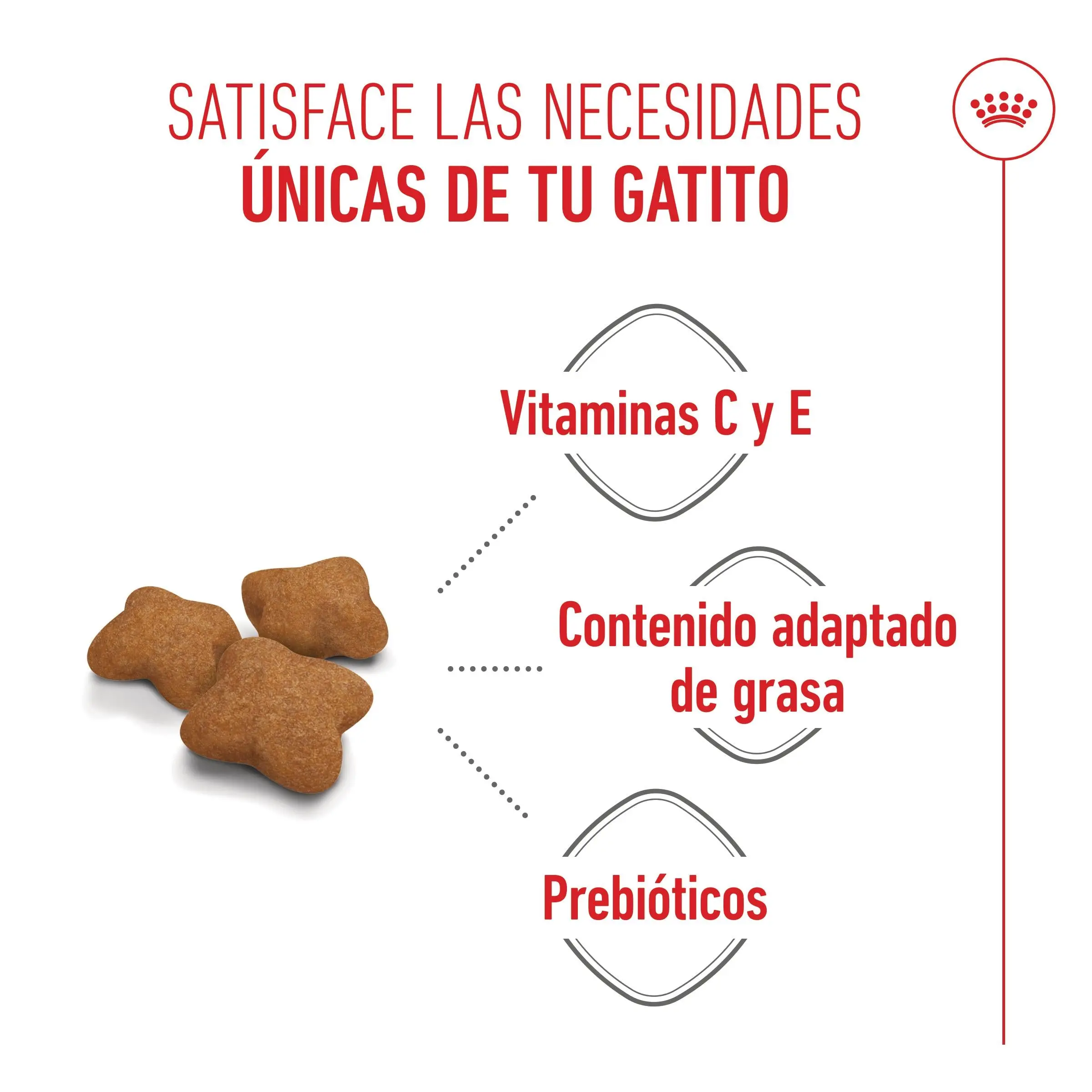 Royal Canin Kitten Sterilized Pienso para Gatitos Esterilizados - Image 9