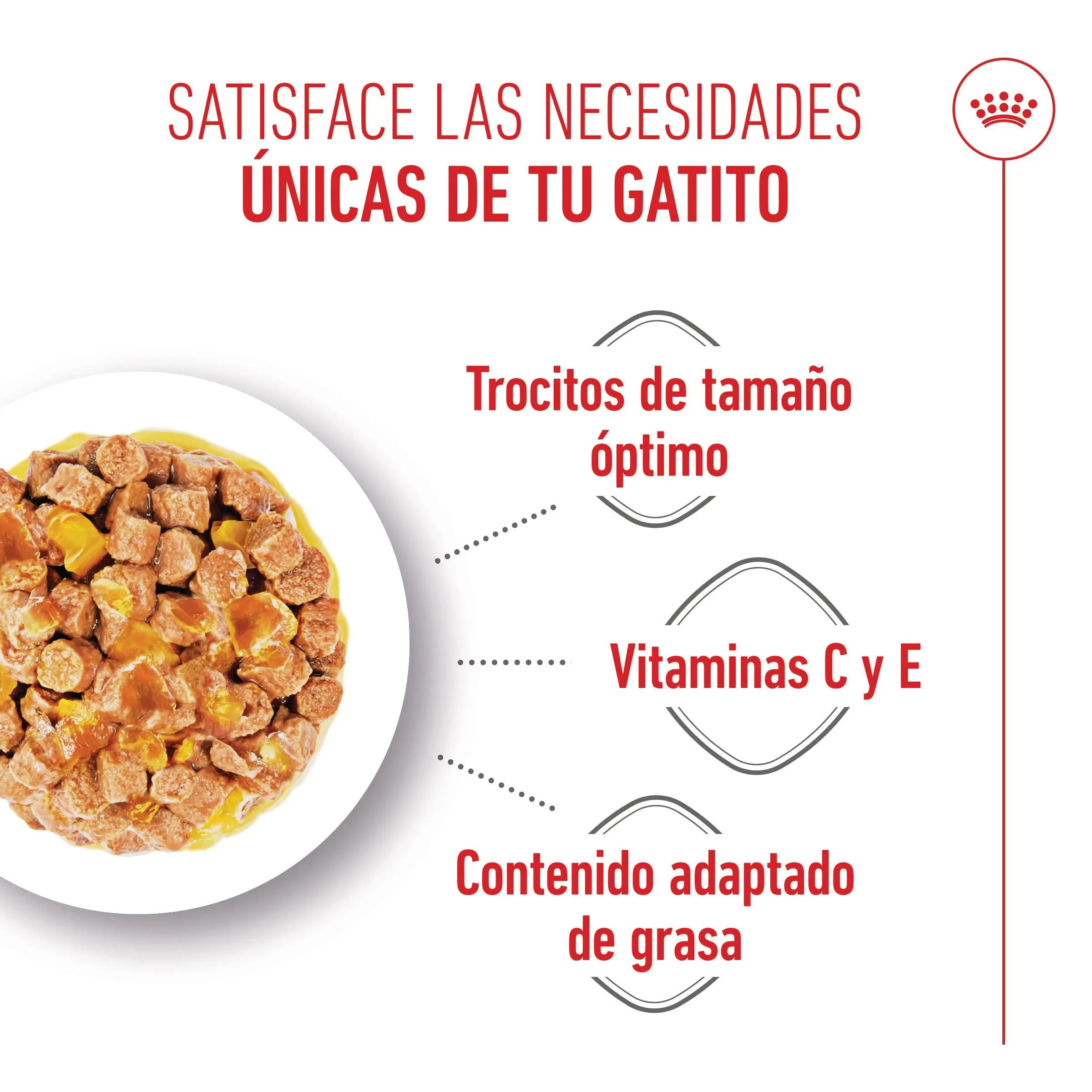 Royal Canin Kitten Sterilized Gelatina 85 g Alimento Húmedo para Gatitos - Image 3