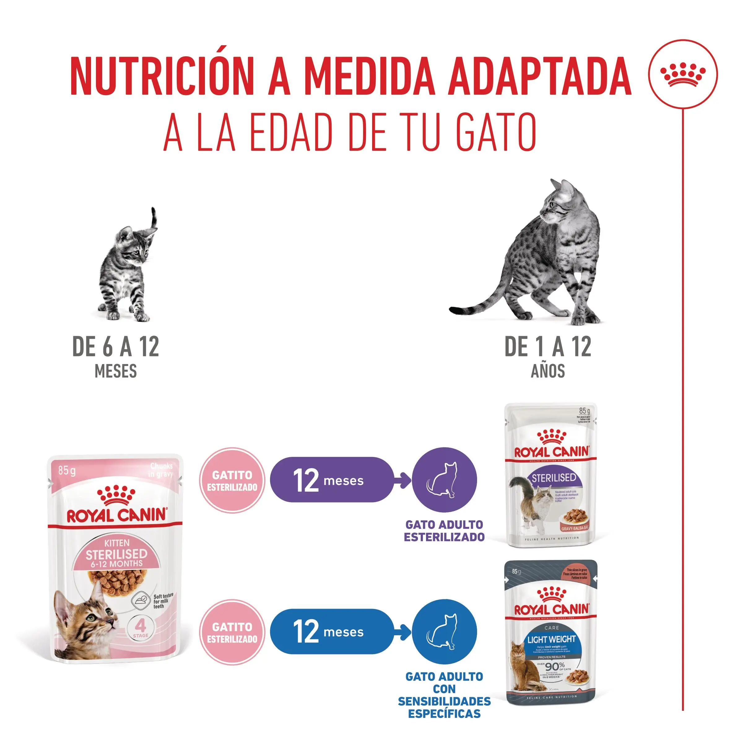 Royal Canin Kitten Sterilized en Salsa 85 g Comida Húmeda para Gatitos - Image 2