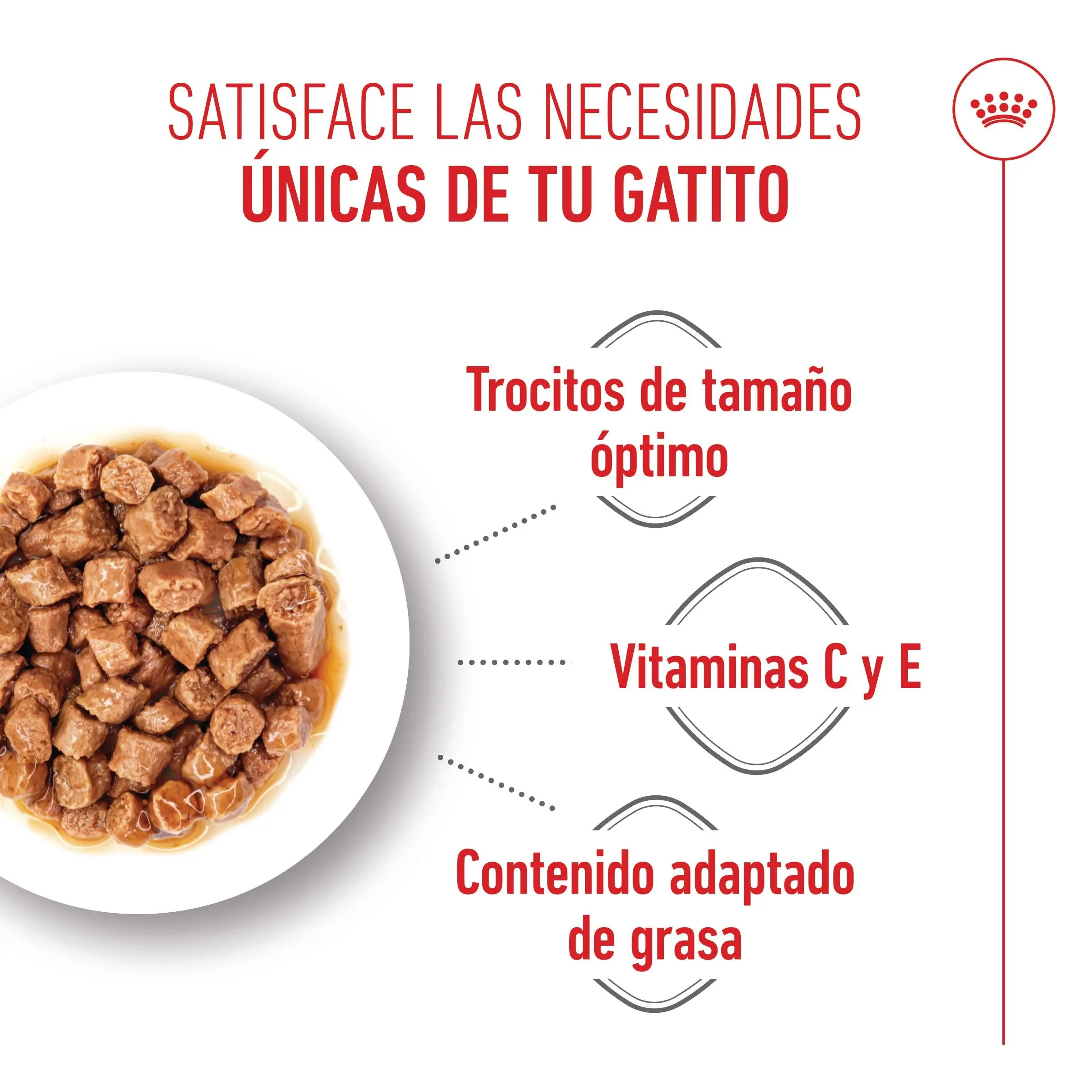 Royal Canin Kitten Sterilized en Salsa 85 g Comida Húmeda para Gatitos - Image 6