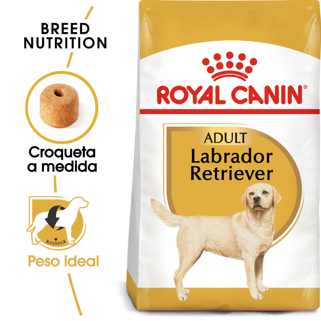 Royal Canin Labrador Pienso para Perros Adultos de Raza - Image 2