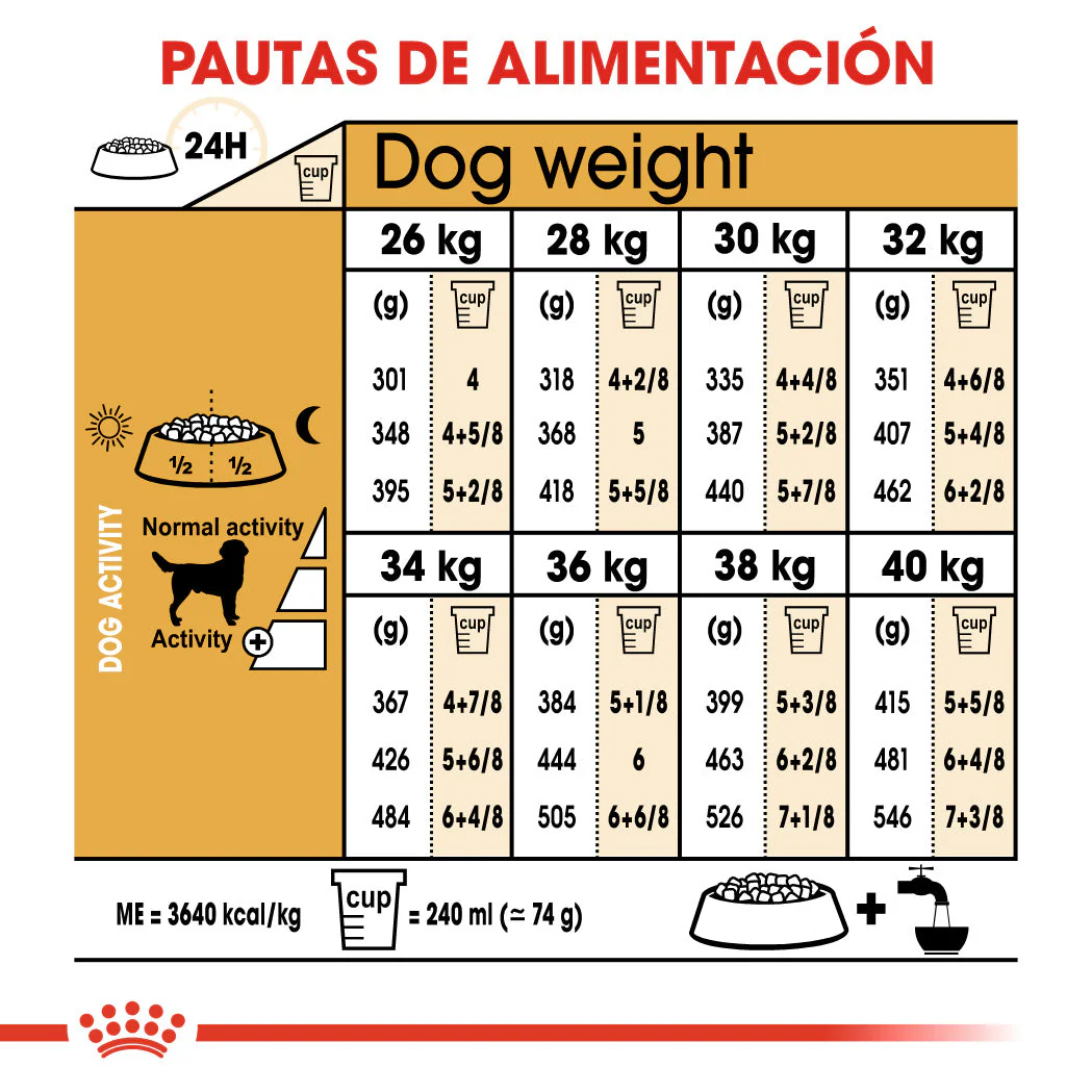 Royal Canin Labrador Pienso para Perros Adultos de Raza - Image 3