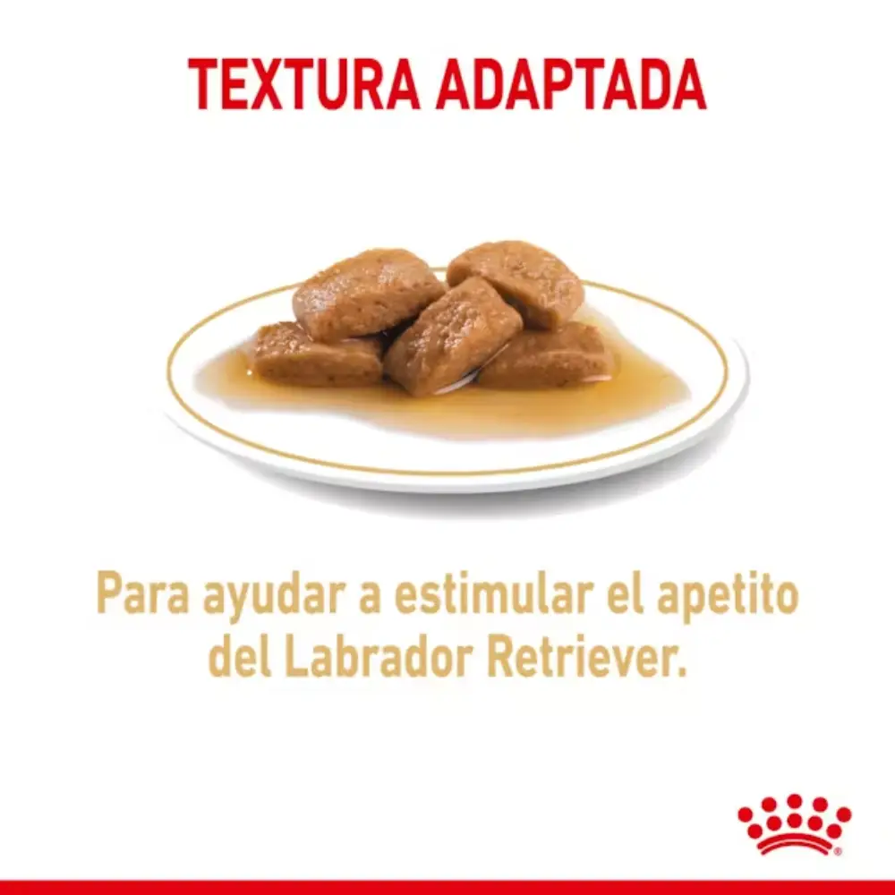 Royal Canin Labrador Paté Adulto 140 g Comida Húmeda para Perros - Image 2