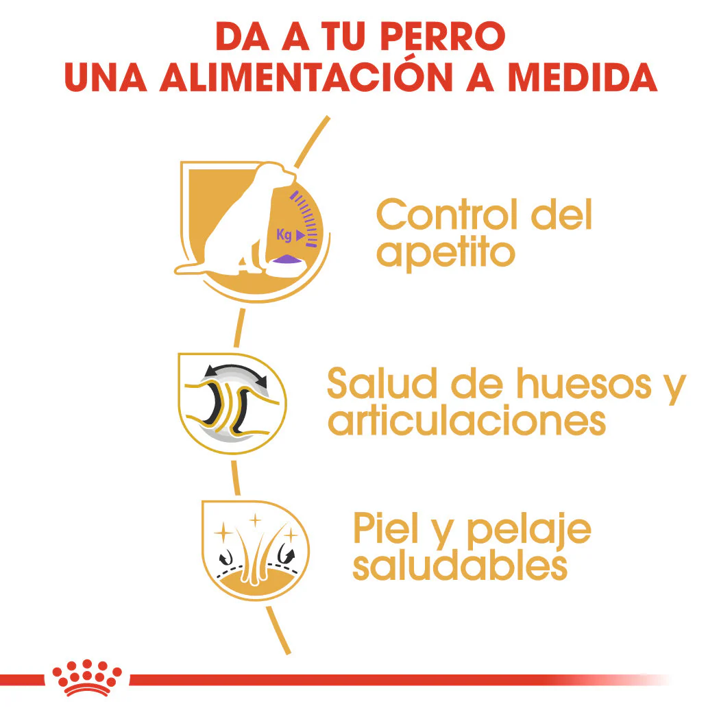 Royal Canin Labrador Adult Sterilized Pienso para Perros Esterilizados de Raza - Image 3
