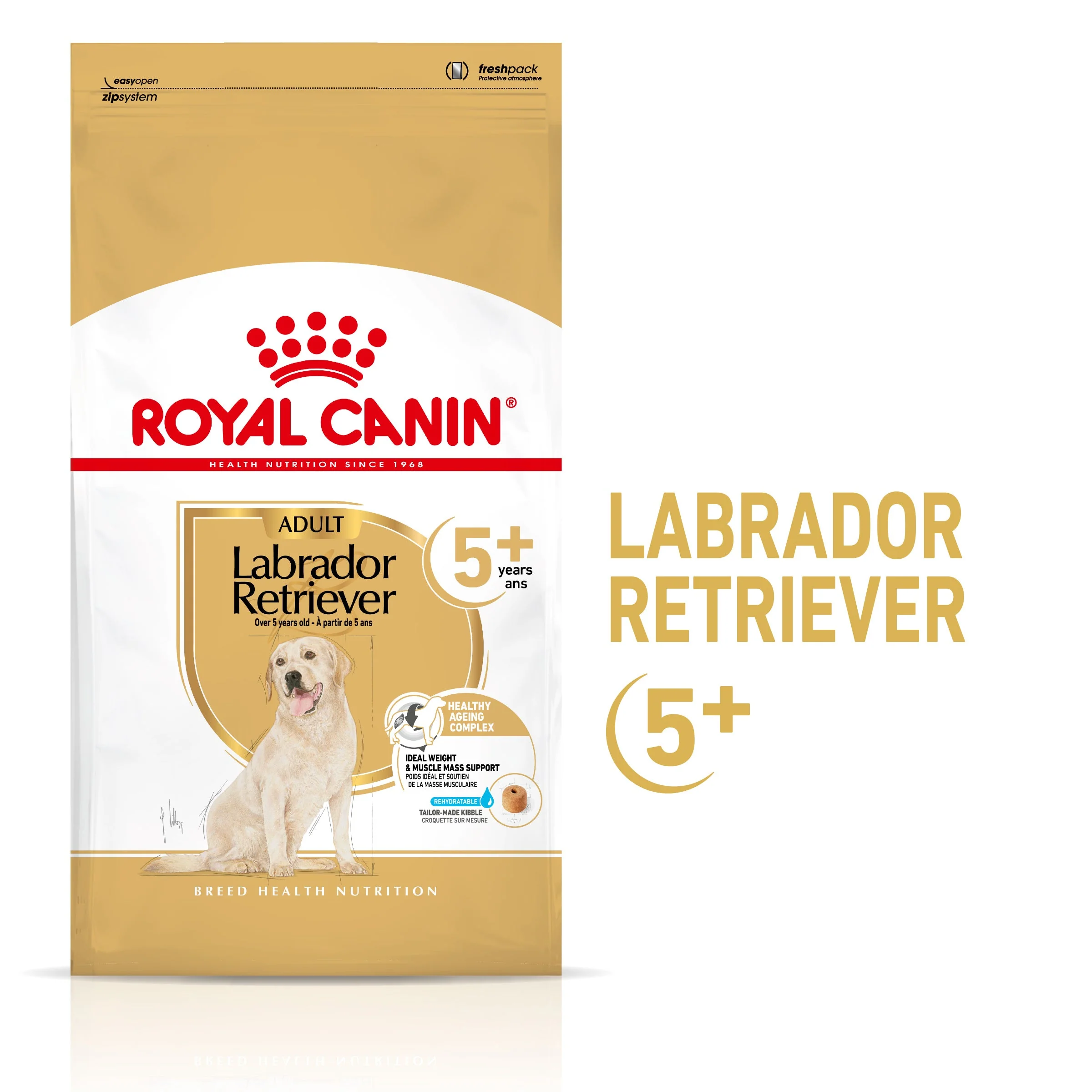 Royal Canin Labrador Retriever Ageing 5+ Pienso para Perros de Raza - Image 2