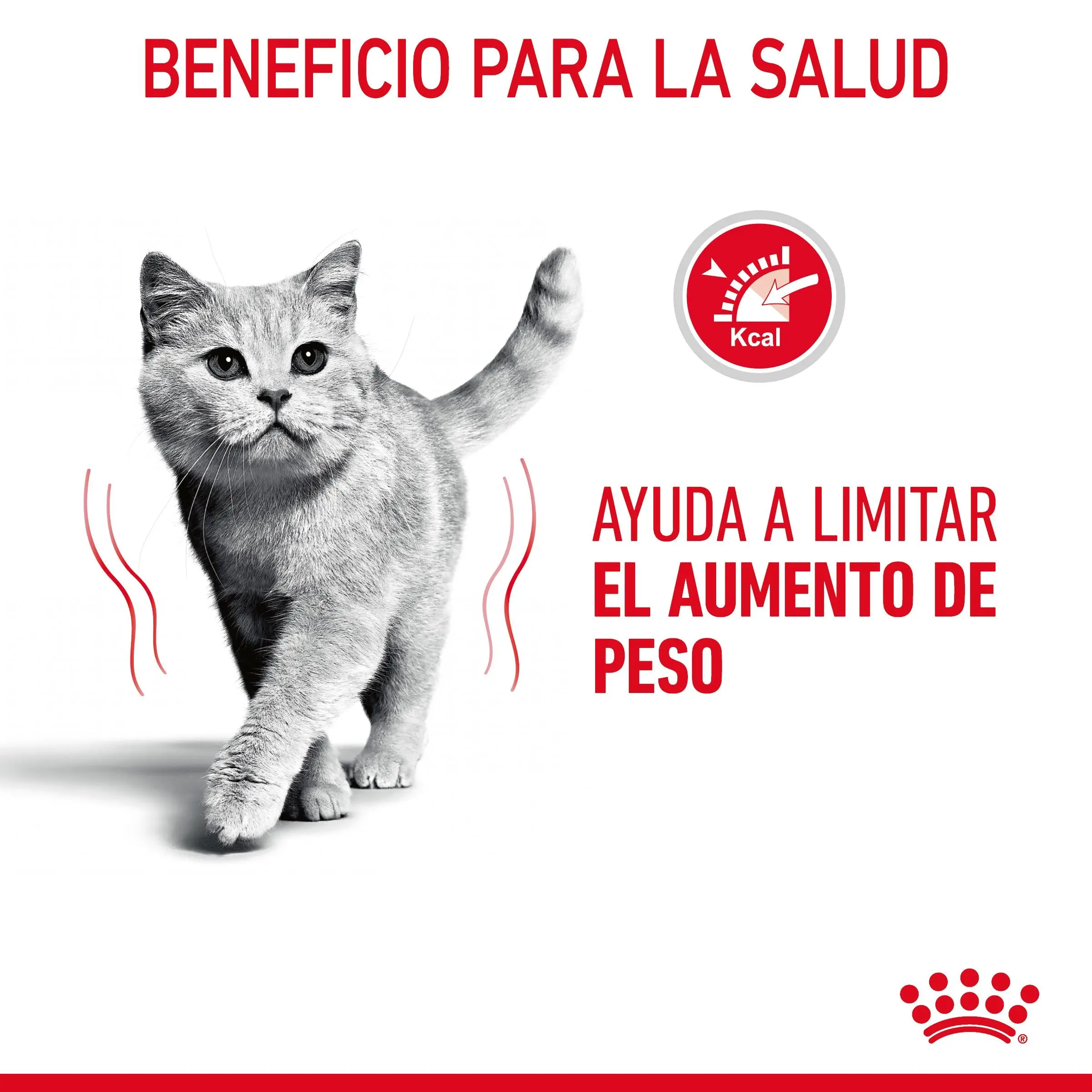 Royal Canin Light Weight Care Finas Láminas en Gelatina 85 g Húmedo para Gatos - Image 3