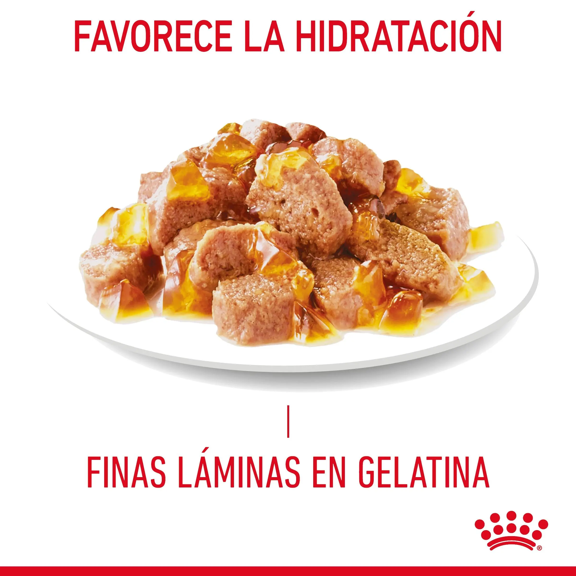 Royal Canin Light Weight Care Finas Láminas en Gelatina 85 g Húmedo para Gatos - Image 4
