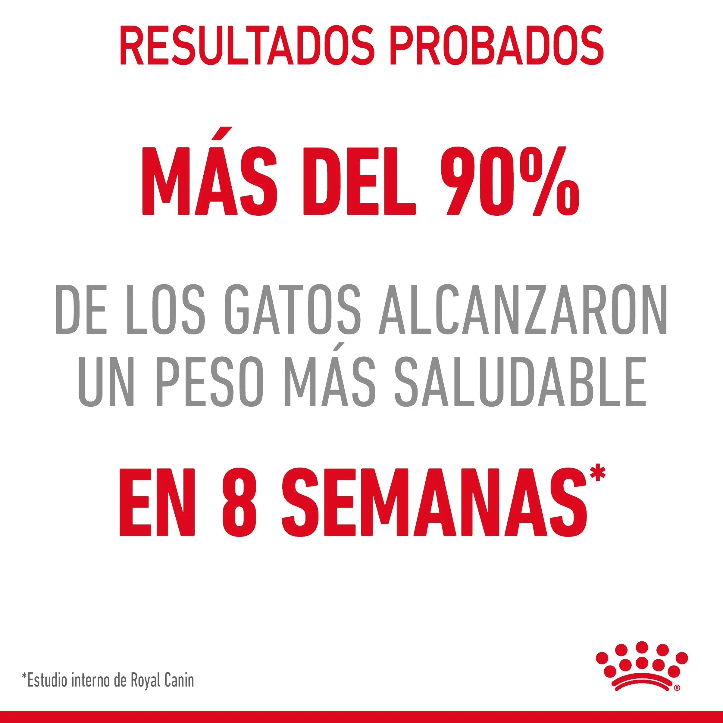Royal Canin Light Weight Care Pienso para Gatos - Image 9
