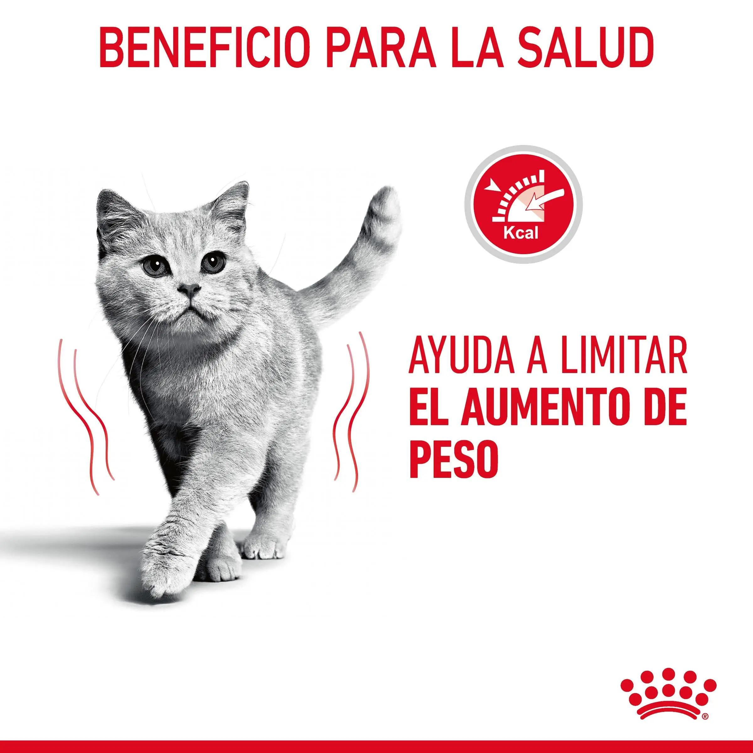 Royal Canin Light Weight Care Finas Láminas en Salsa 85 g Húmedo para Gatos - Image 5