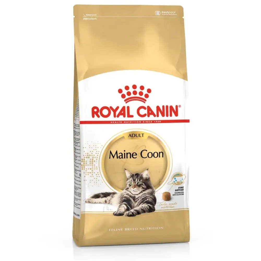 Royal Canin Maine Coon 31 Pienso para Gatos Adultos