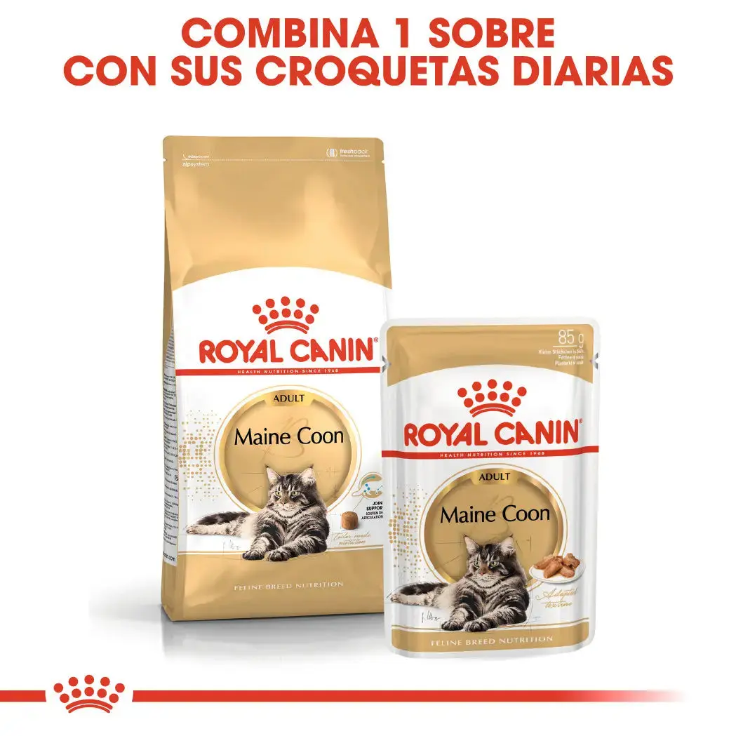 Royal Canin Maine Coon 31 Pienso para Gatos Adultos - Image 2