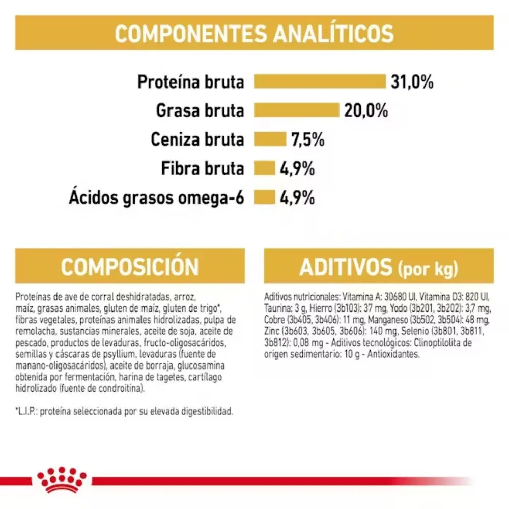 Royal Canin Maine Coon 31 Pienso para Gatos Adultos - Image 4