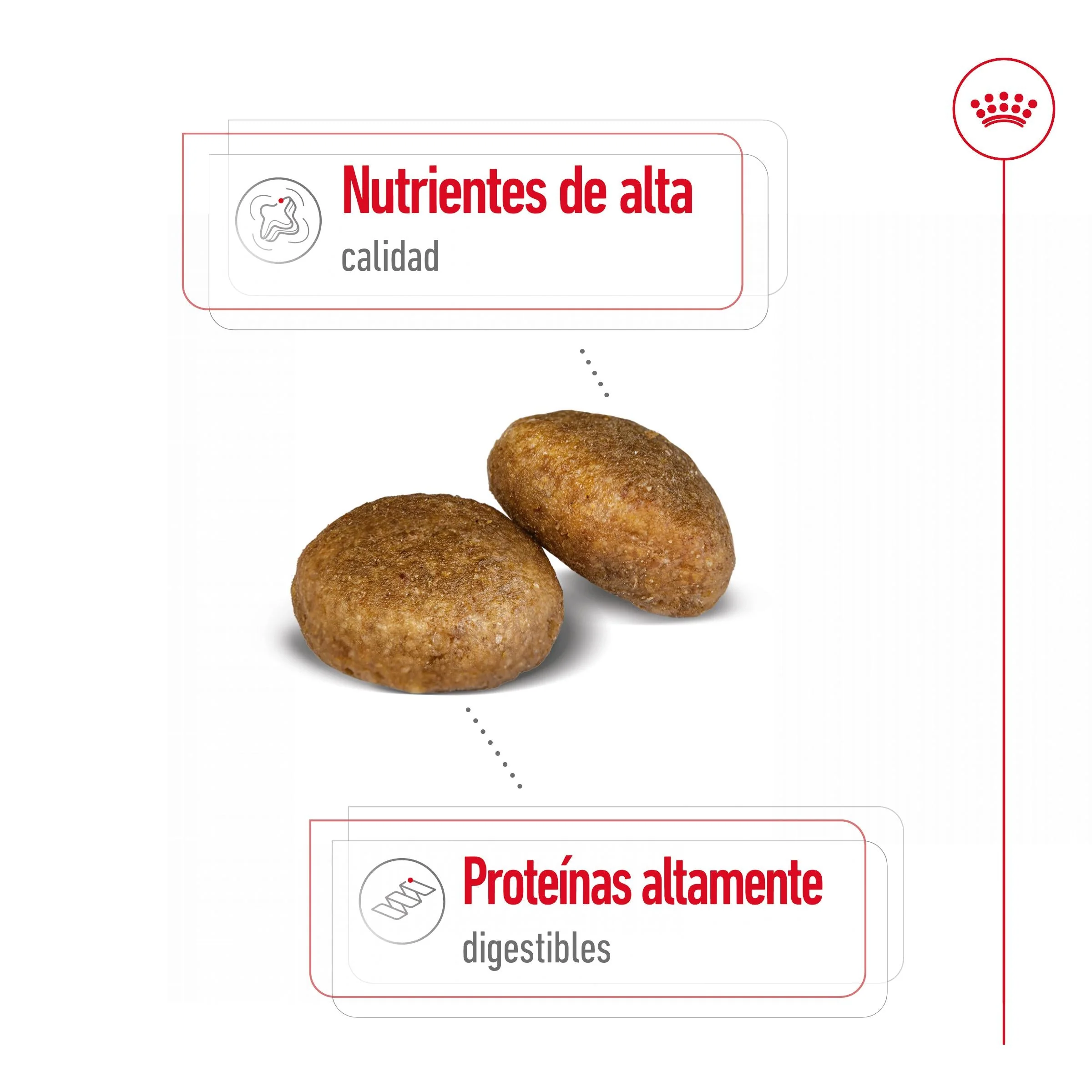 Royal Canin Maxi Adult Pienso para Perros - Image 3