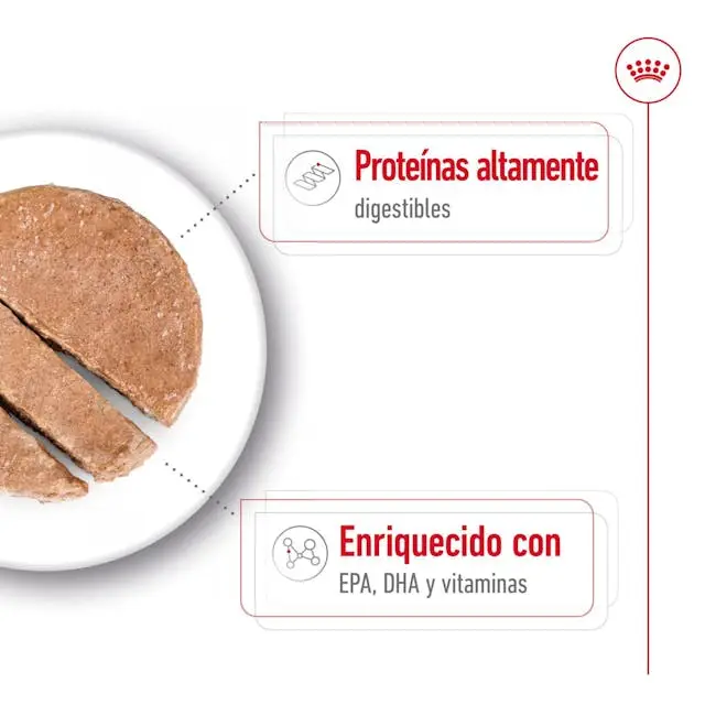 Royal Canin Maxi Ageing 410 g lata perro húmedo - Image 4