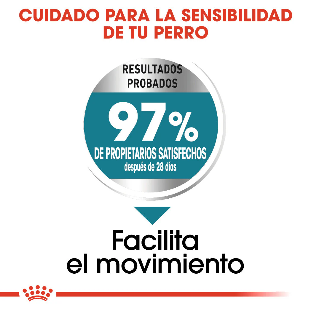 Royal Canin Maxi Joint Care Pienso para Perros - Image 2