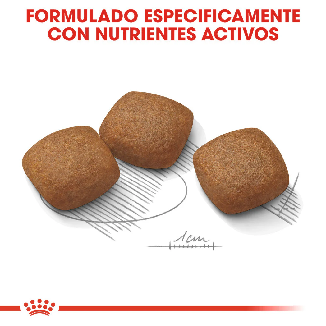Royal Canin Maxi Joint Care Pienso para Perros - Image 7