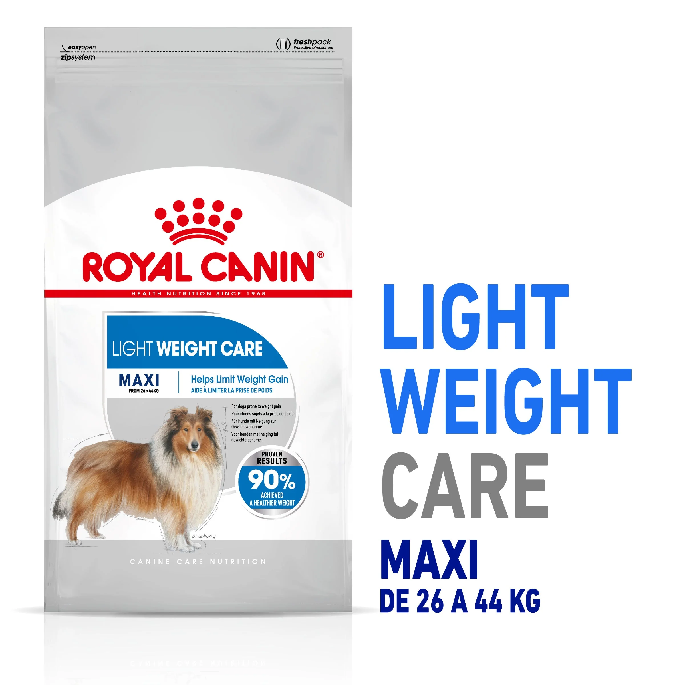 Royal Canin Maxi Light Weight Care Pienso para Perros - Image 4