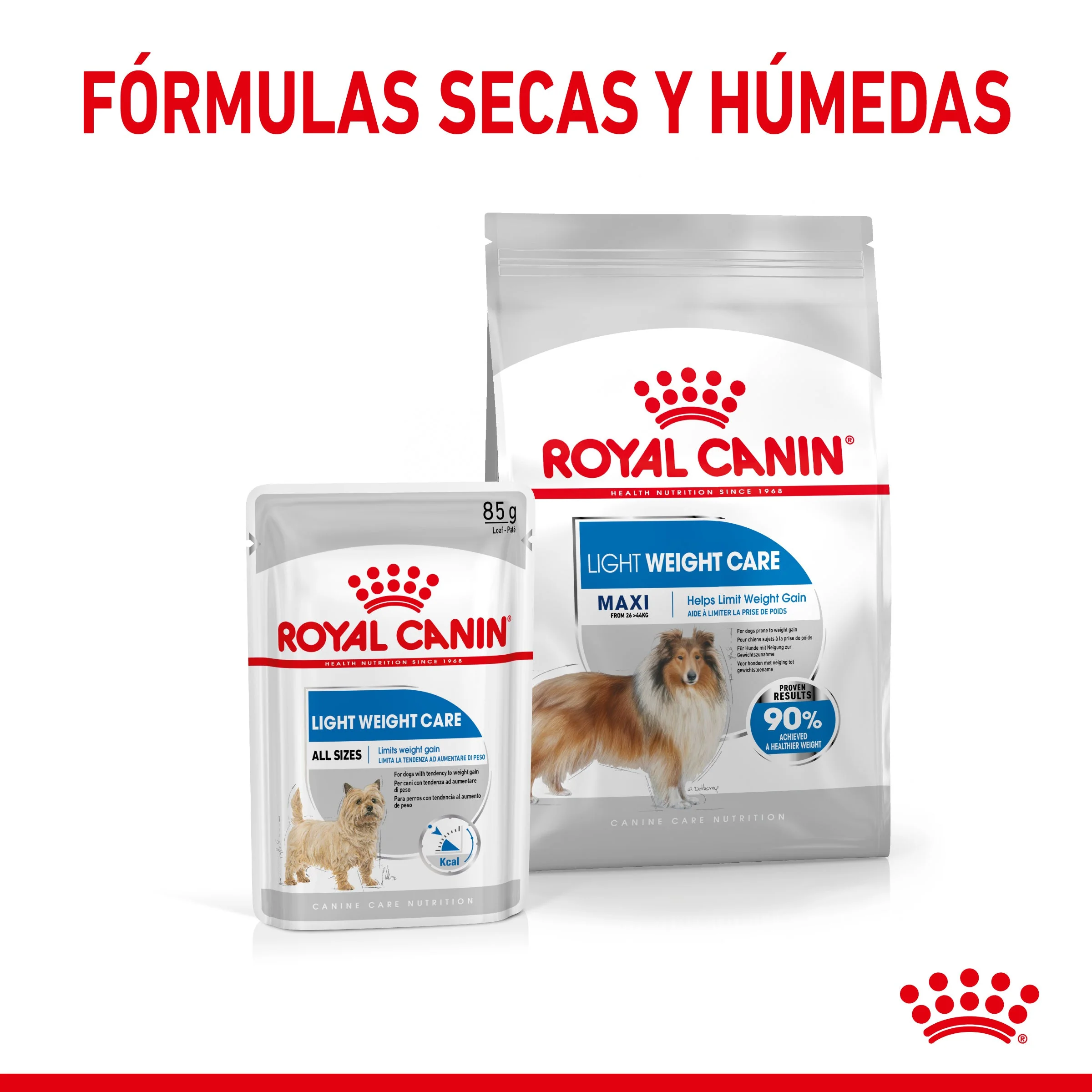 Royal Canin Maxi Light Weight Care Pienso para Perros - Image 5