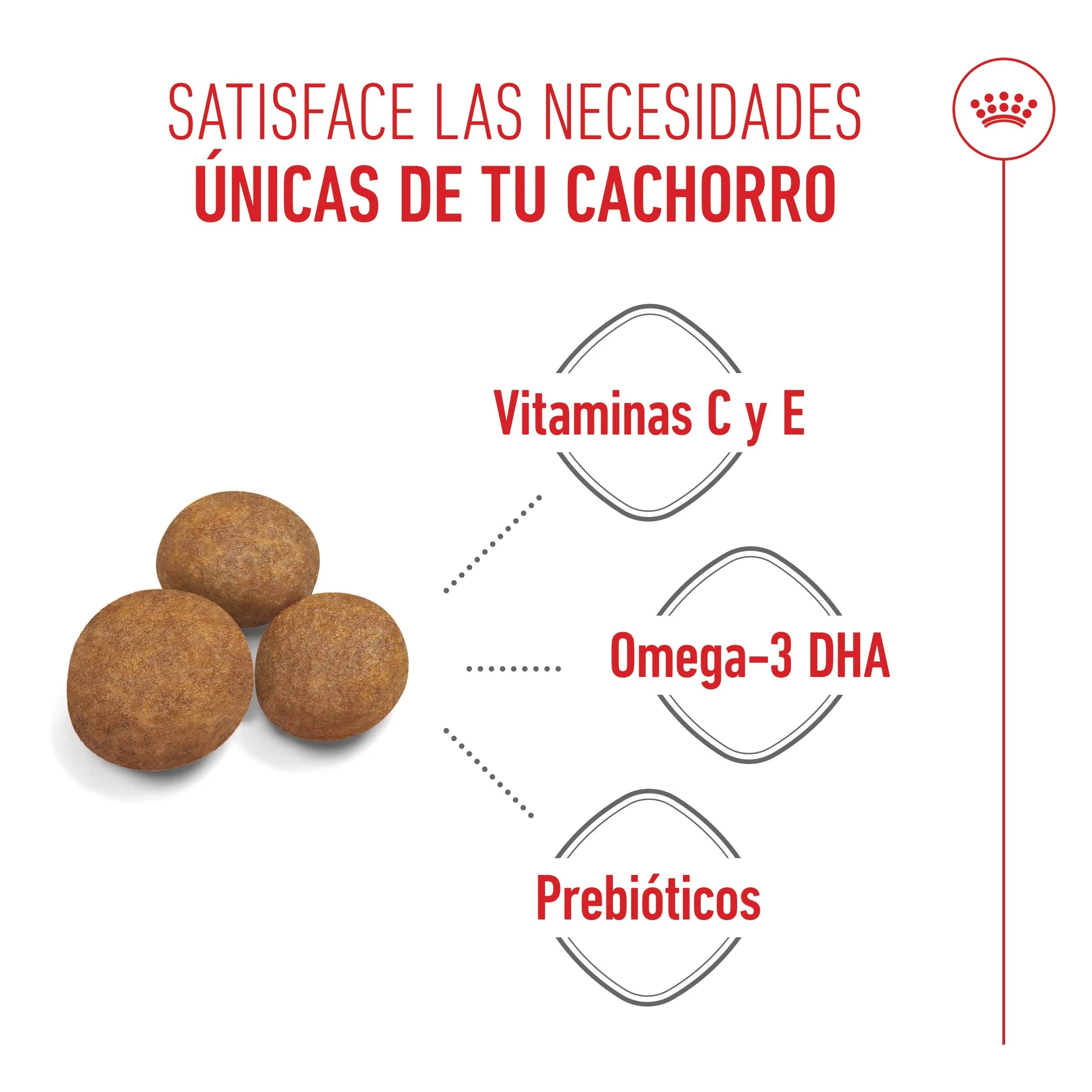 Royal Canin Maxi Puppy Pienso para Cachorros - Image 2