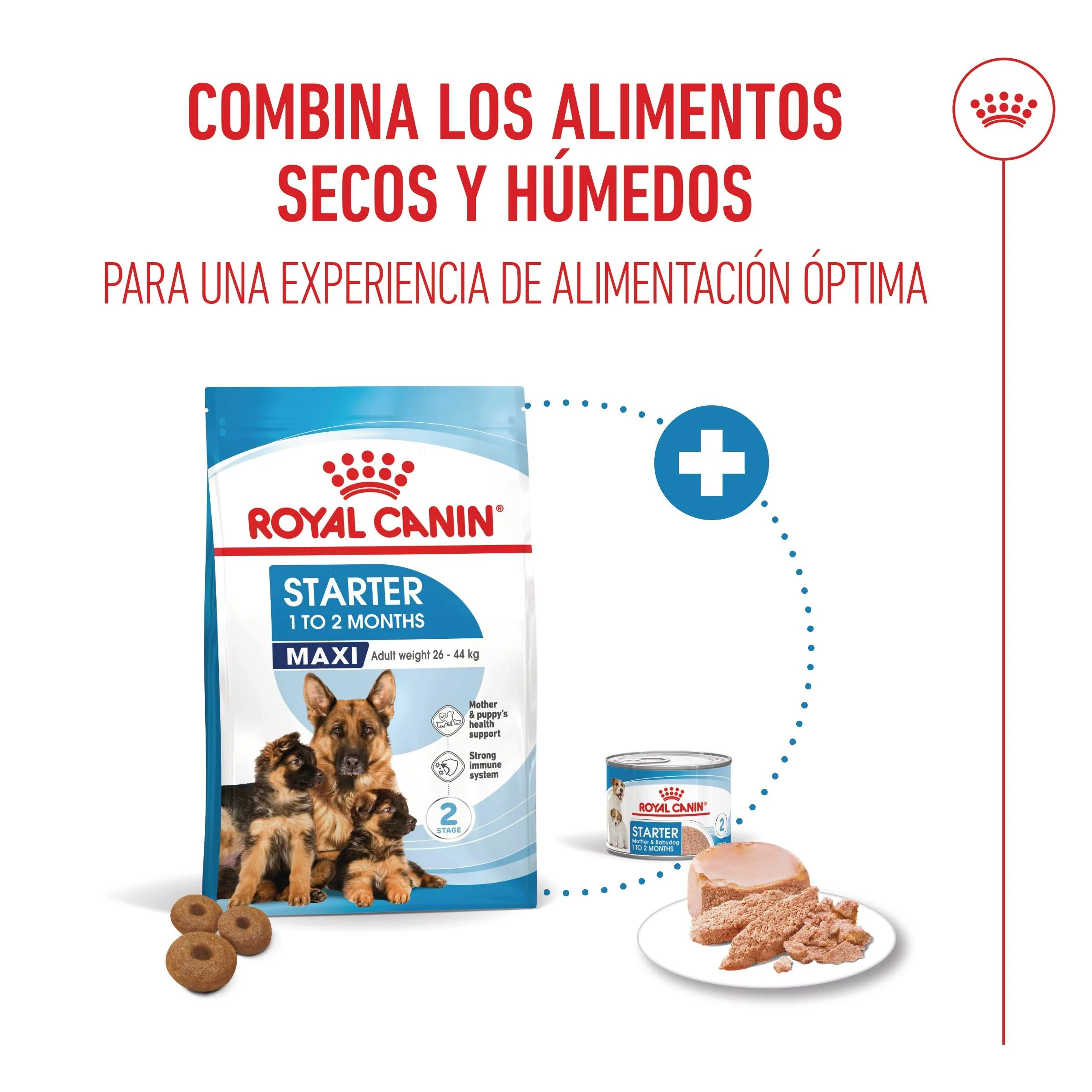 Royal Canin Maxi Starter Mother & Babydog Pienso para Cachorros y Madres Lactantes - Image 2