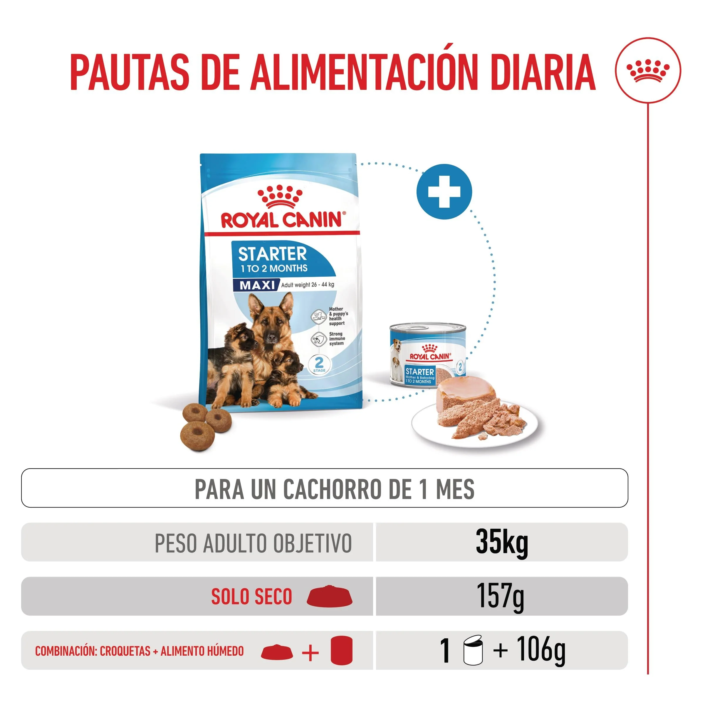 Royal Canin Maxi Starter Mother & Babydog Pienso para Cachorros y Madres Lactantes - Image 4