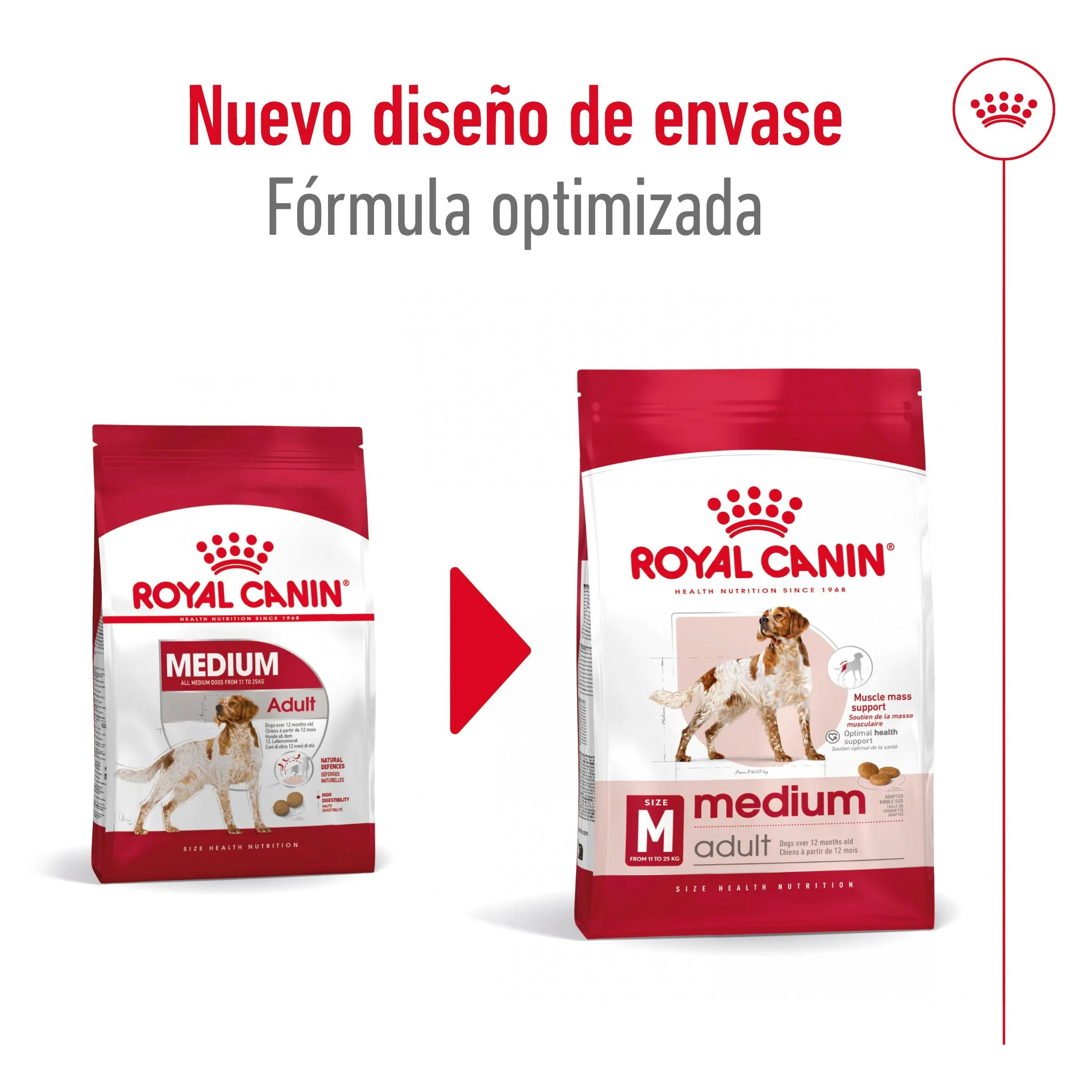 Royal Canin Medium Adult Pienso para Perros - Image 2