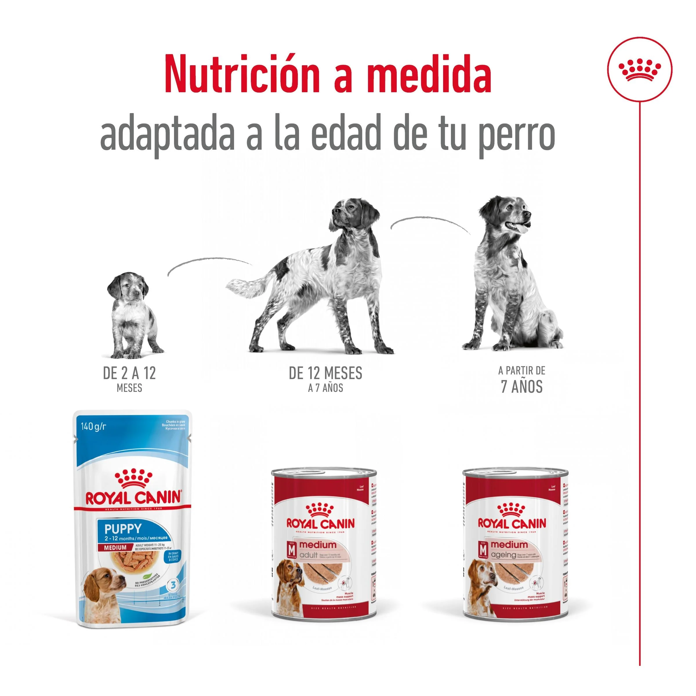 Royal Canin Medium Adult 410 g lata perro húmedo - Image 5
