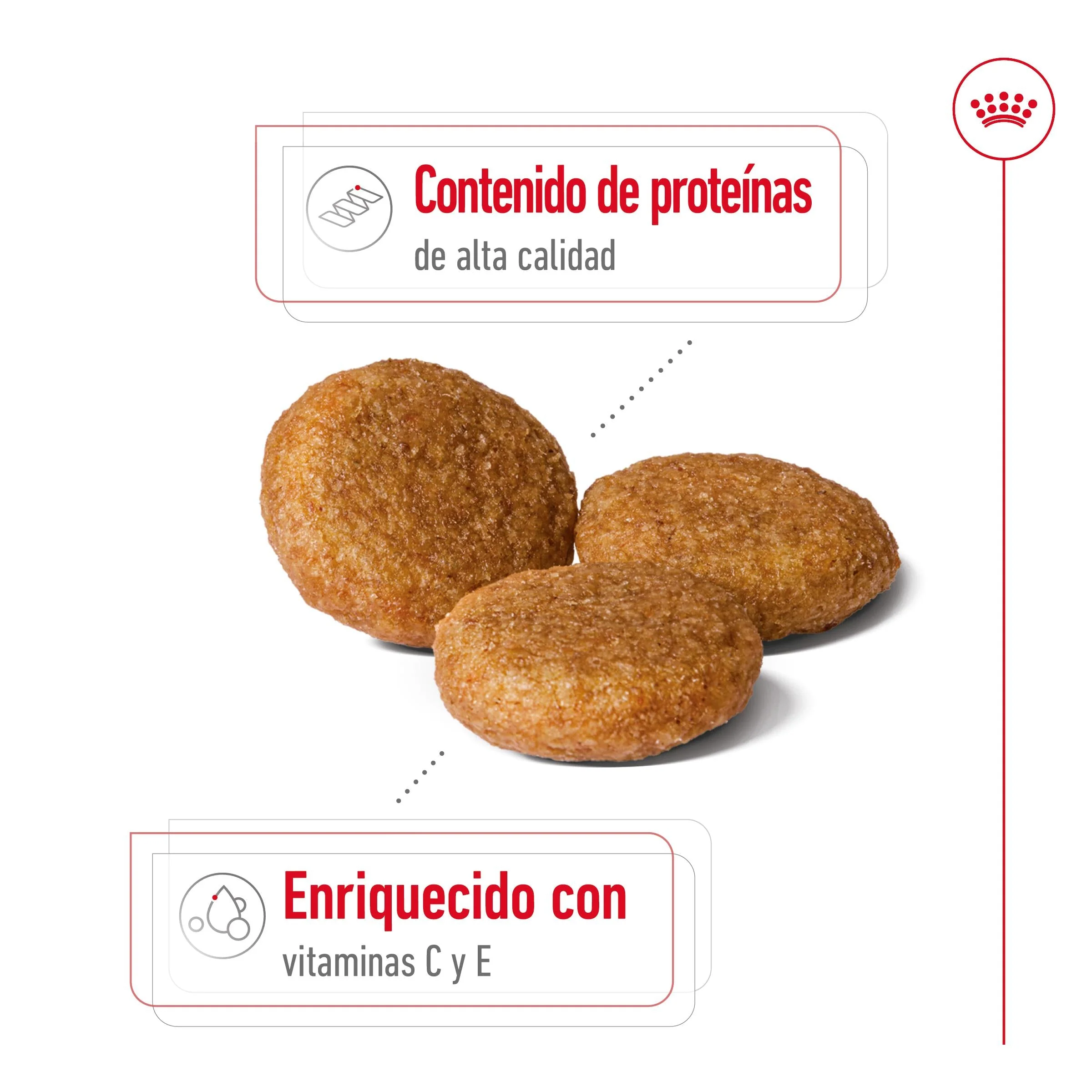 Royal Canin Medium Adult Pienso para Perros - Image 5