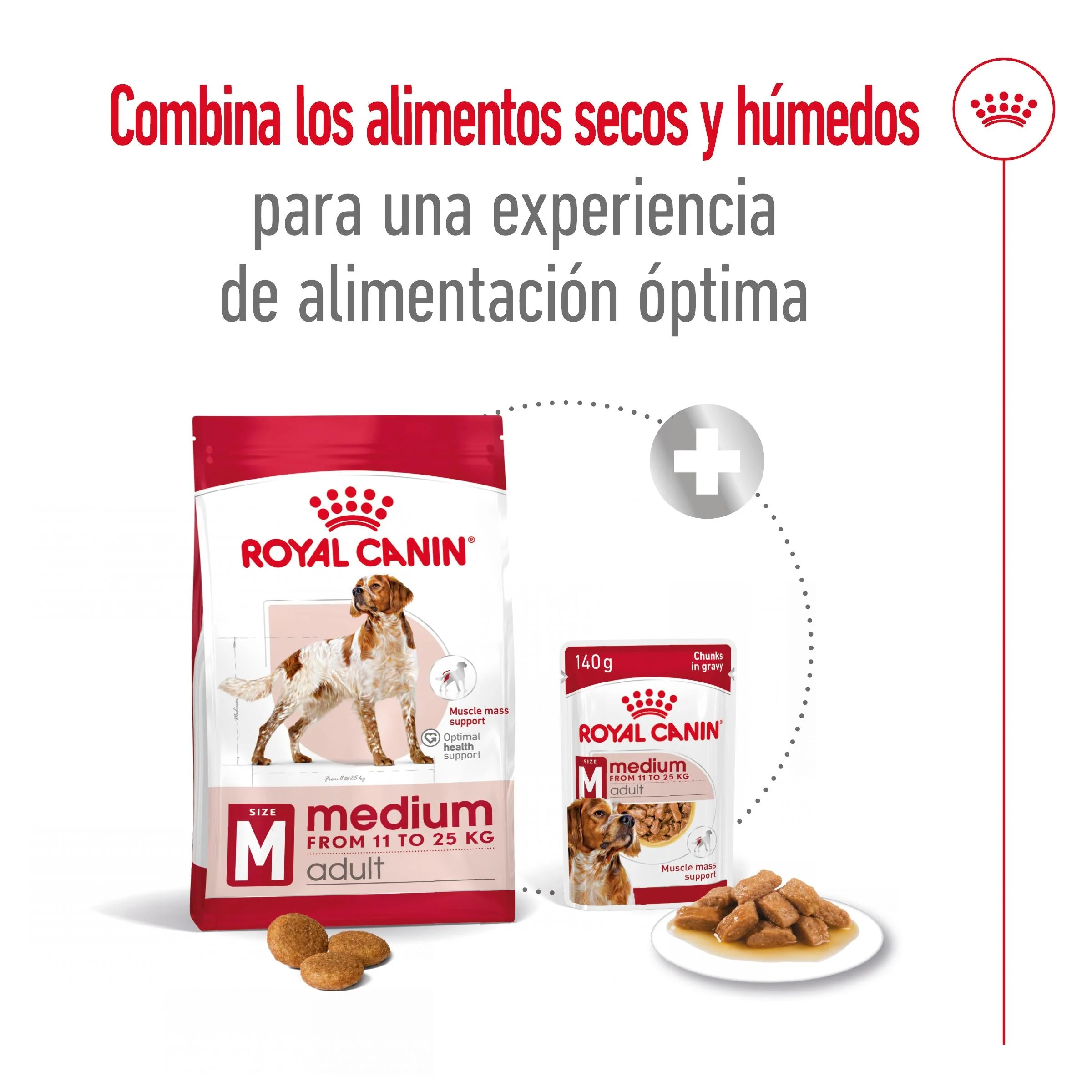 Royal Canin Medium Adult Pienso para Perros - Image 8