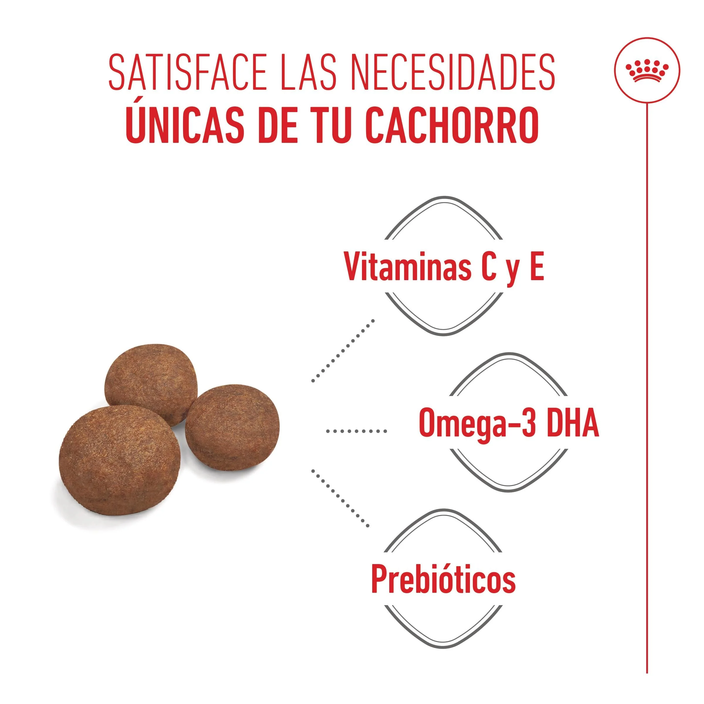Royal Canin Medium Puppy Pienso para Cachorros - Image 2