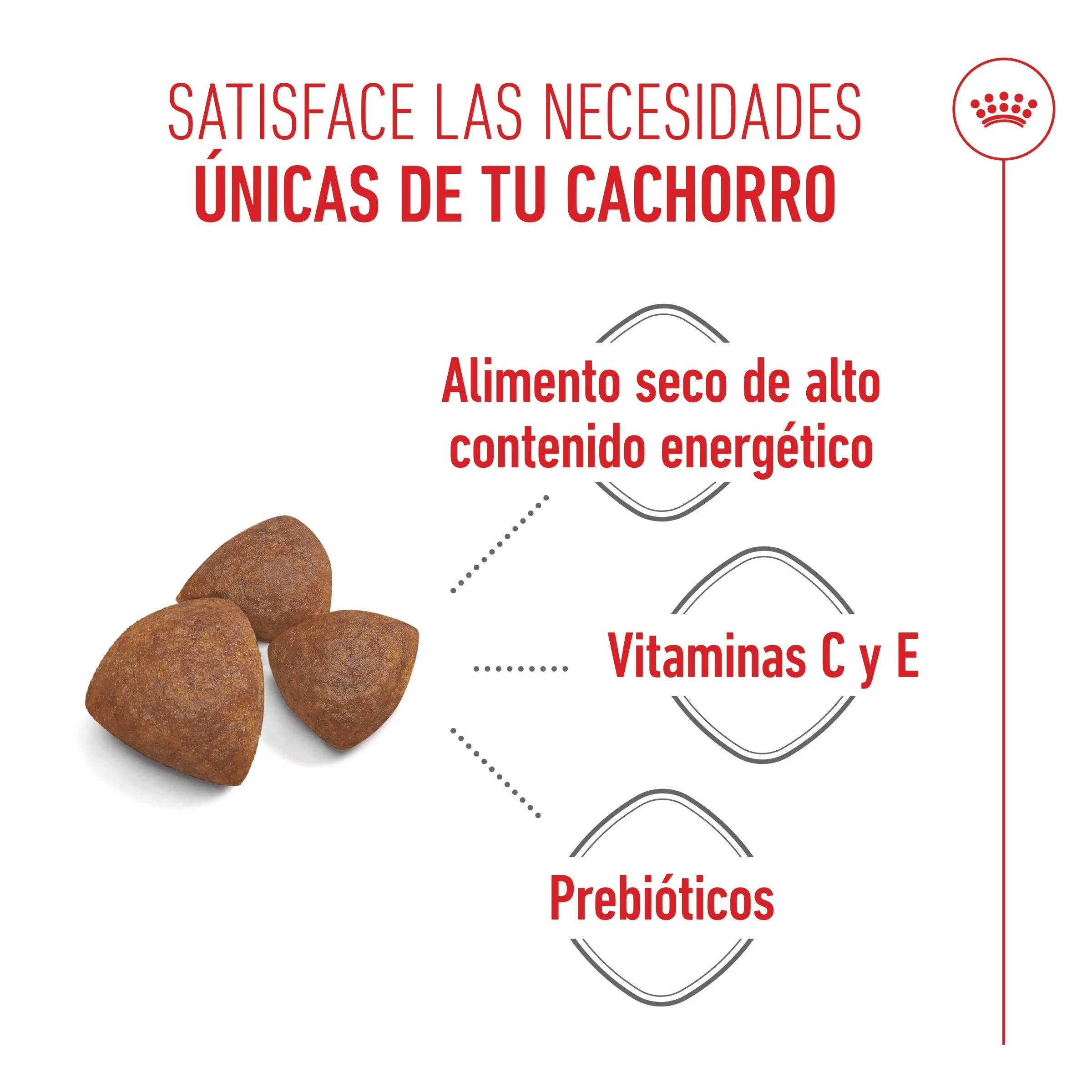 Royal Canin Medium Starter Mother & Babydog Pienso para Cachorros y Madres Lactantes - Image 2