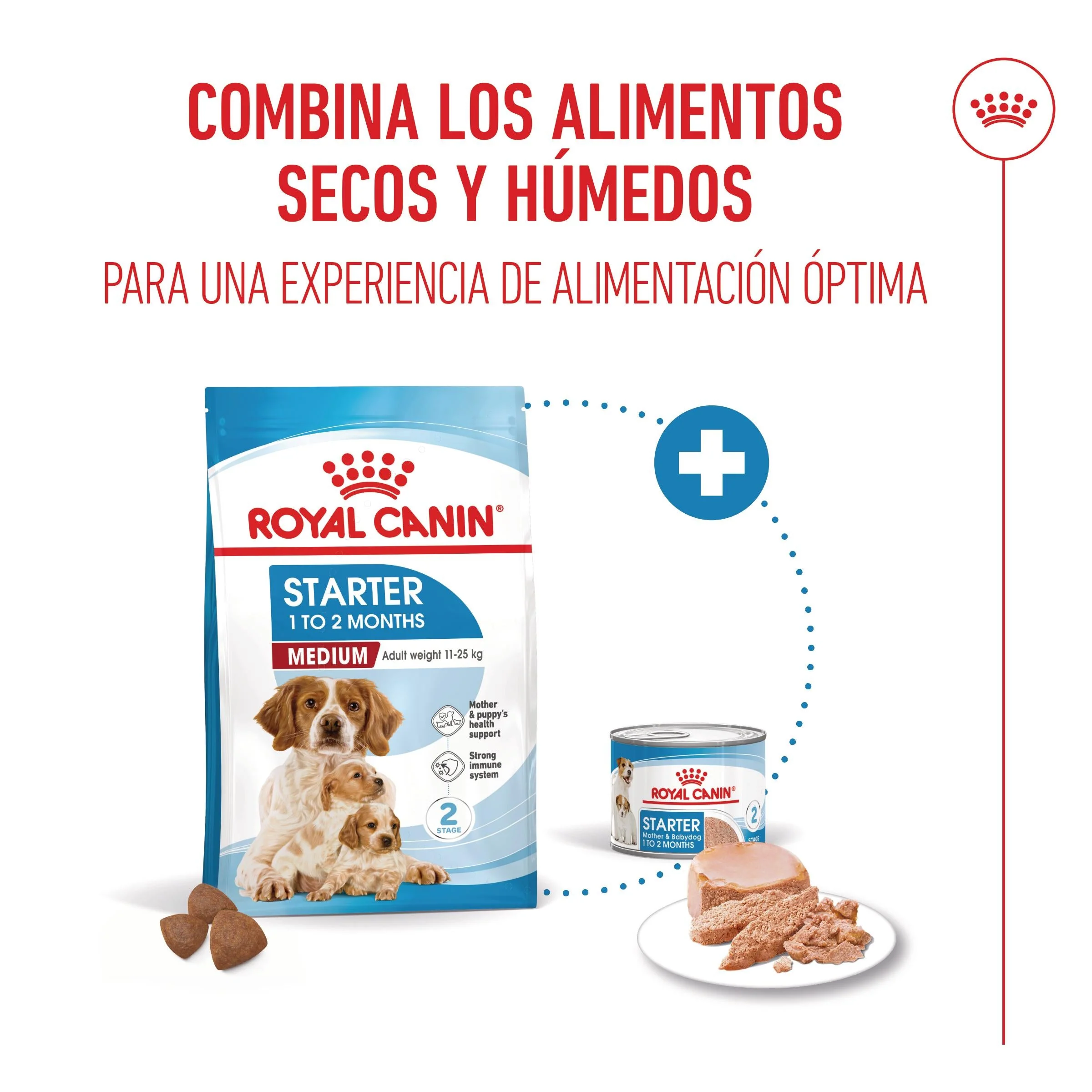 Royal Canin Medium Starter Mother & Babydog Pienso para Cachorros y Madres Lactantes - Image 3