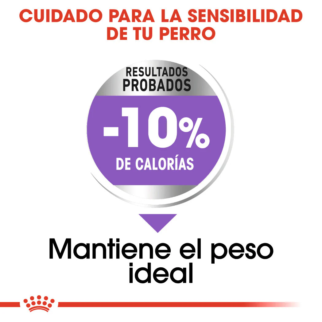 Royal Canin Medium Sterilized Care Pienso para Perros Esterilizados - Image 3