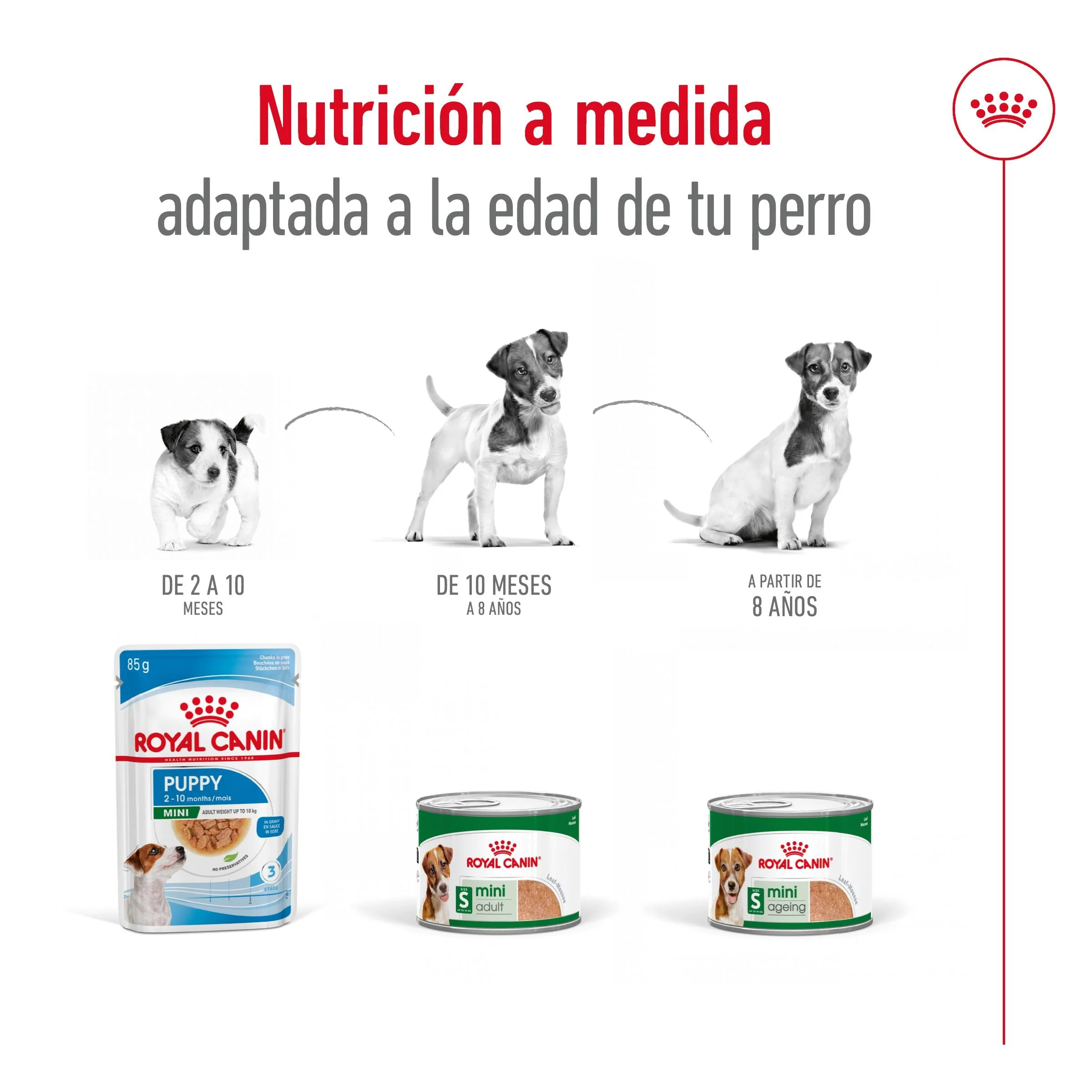 Royal Canin Mini Adult Lata 195 g Paté Húmedo para Perros - Image 4