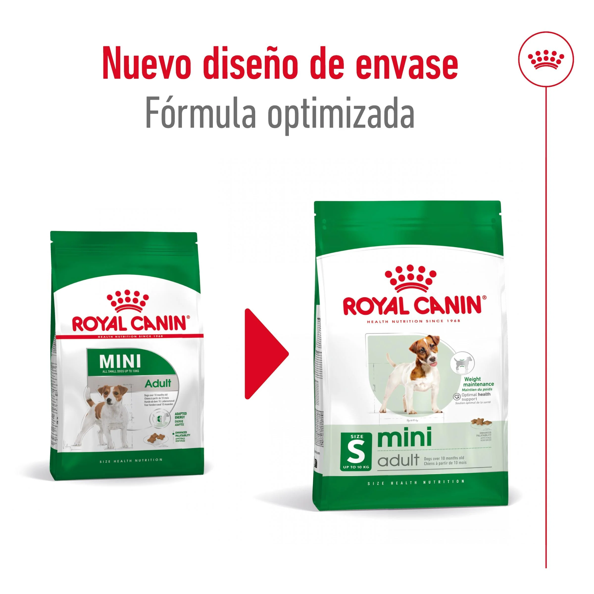 Royal Canin Mini Adult S Pienso para Perros - Image 3