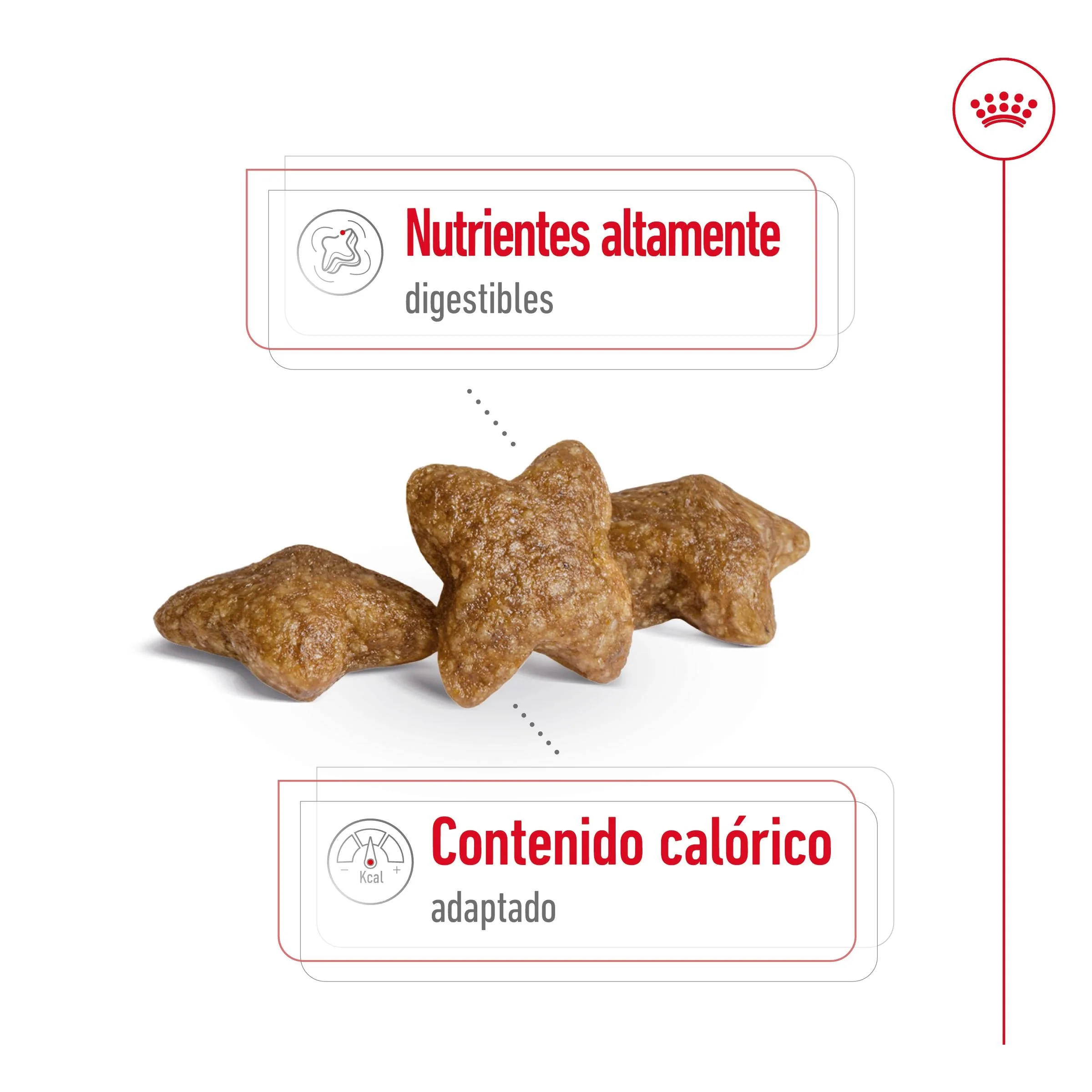 Royal Canin Mini Adult S Pienso para Perros - Image 6