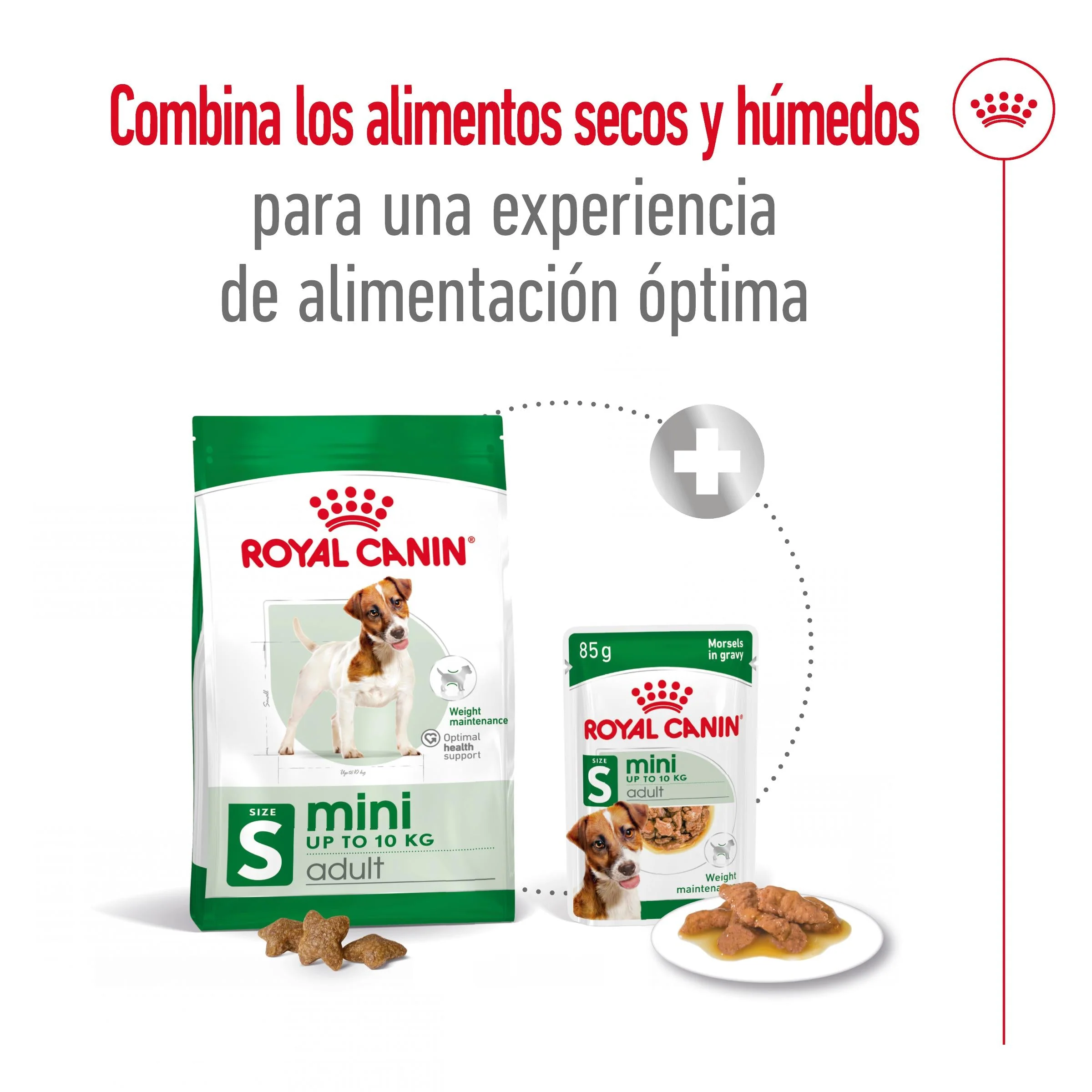 Royal Canin Mini Adult S Pienso para Perros - Image 7