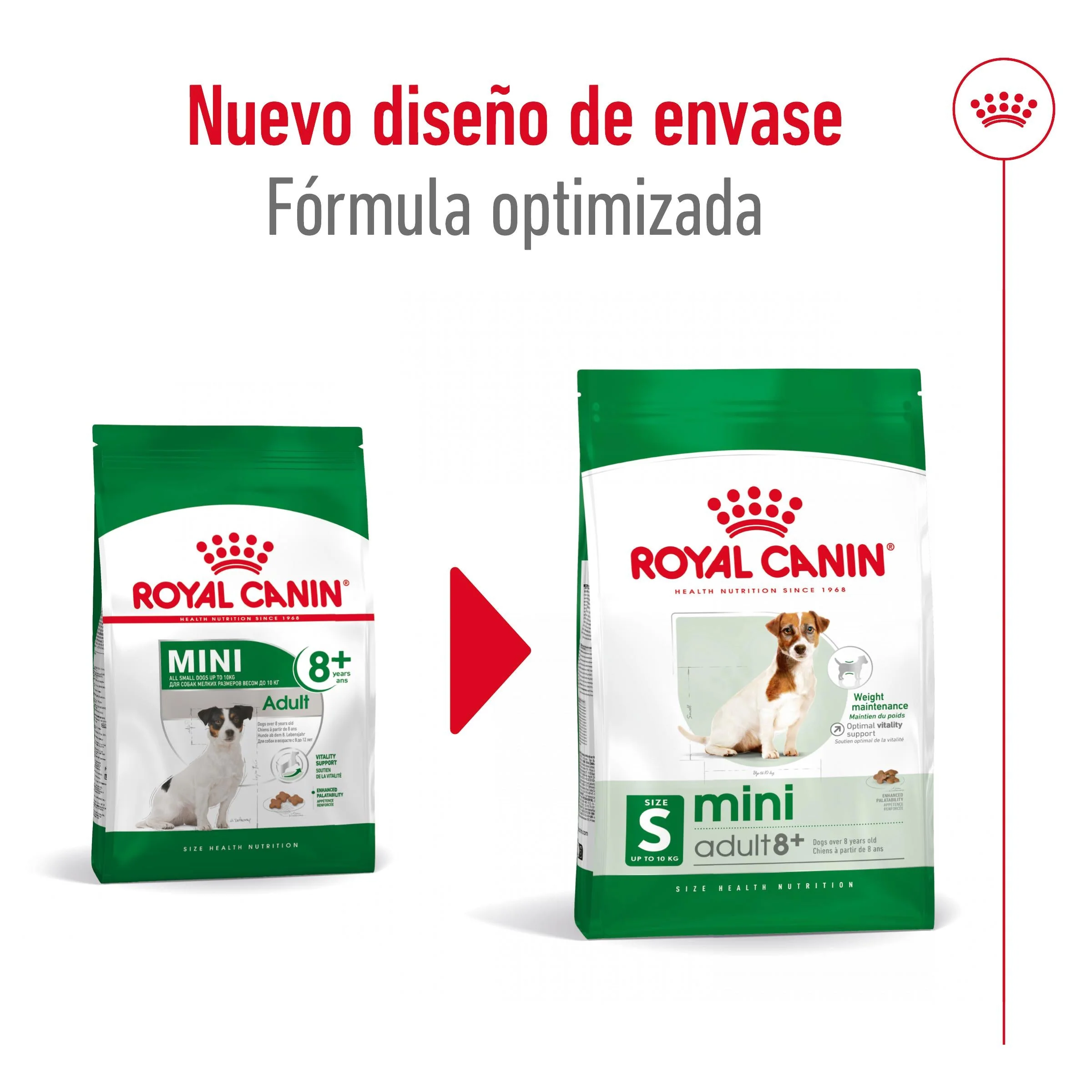 Royal Canin Mini Adult 8+ Pienso para Perros - Image 2