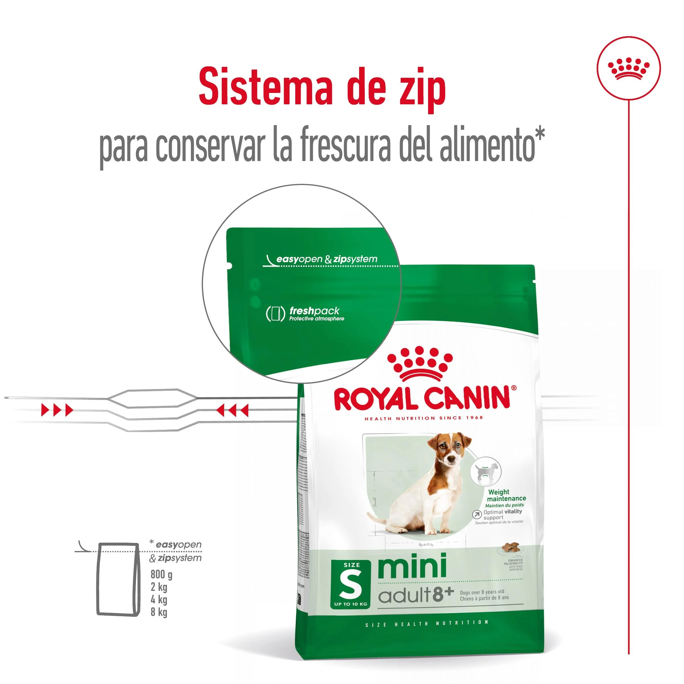 Royal Canin Mini Adult 8+ Pienso para Perros - Image 3