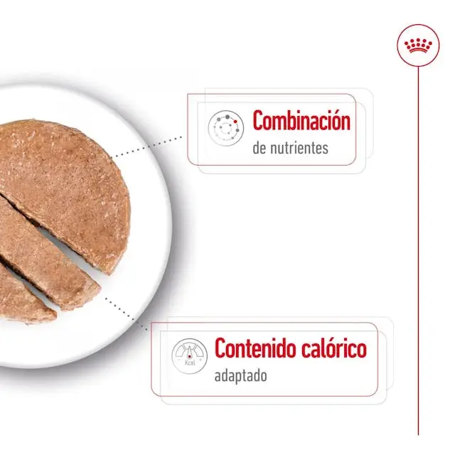 Royal Canin Mini Ageing Lata 195 g Comida Húmeda para Perros Senior - Image 3