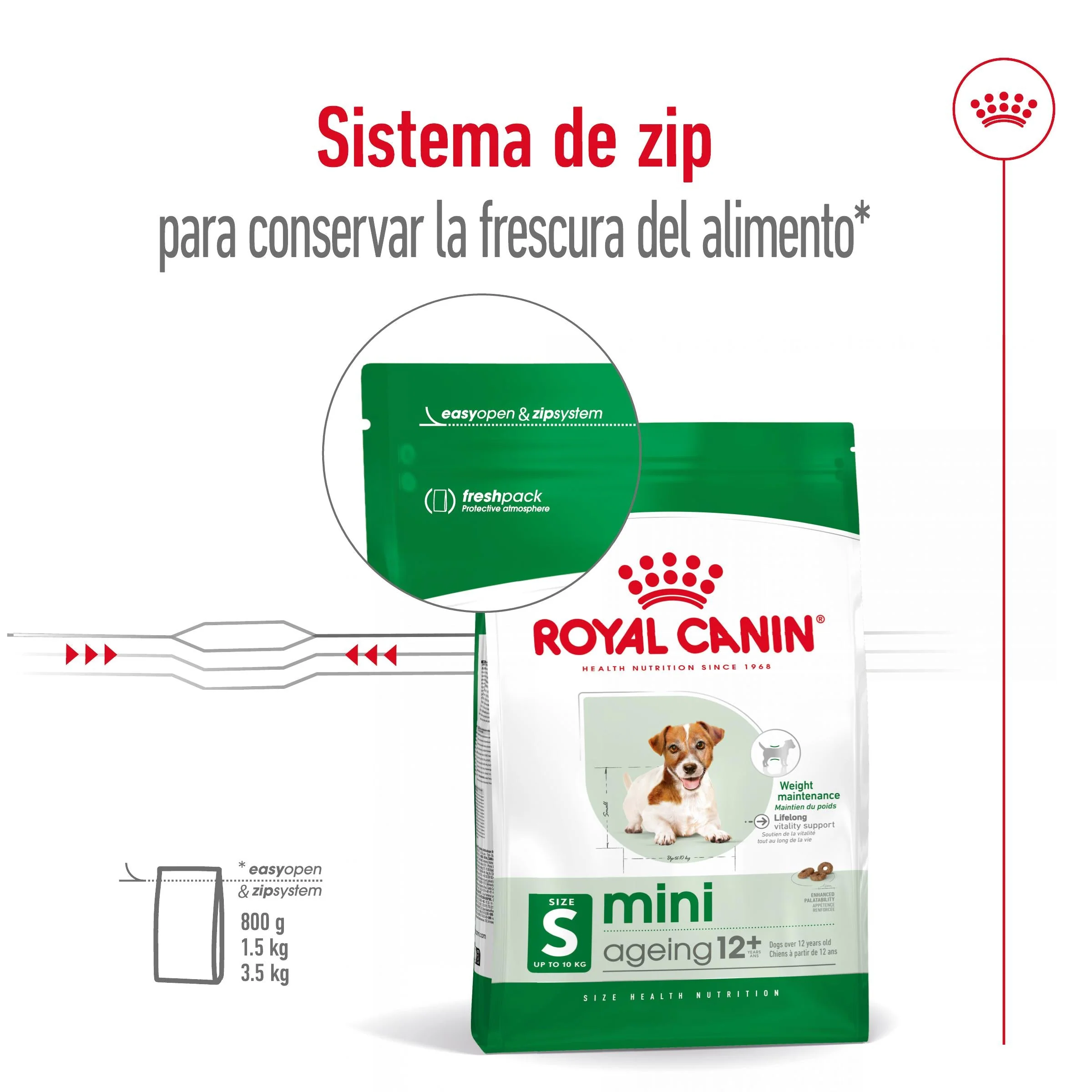 Royal Canin Mini Ageing+12 Pienso para Perros Senior - Image 2