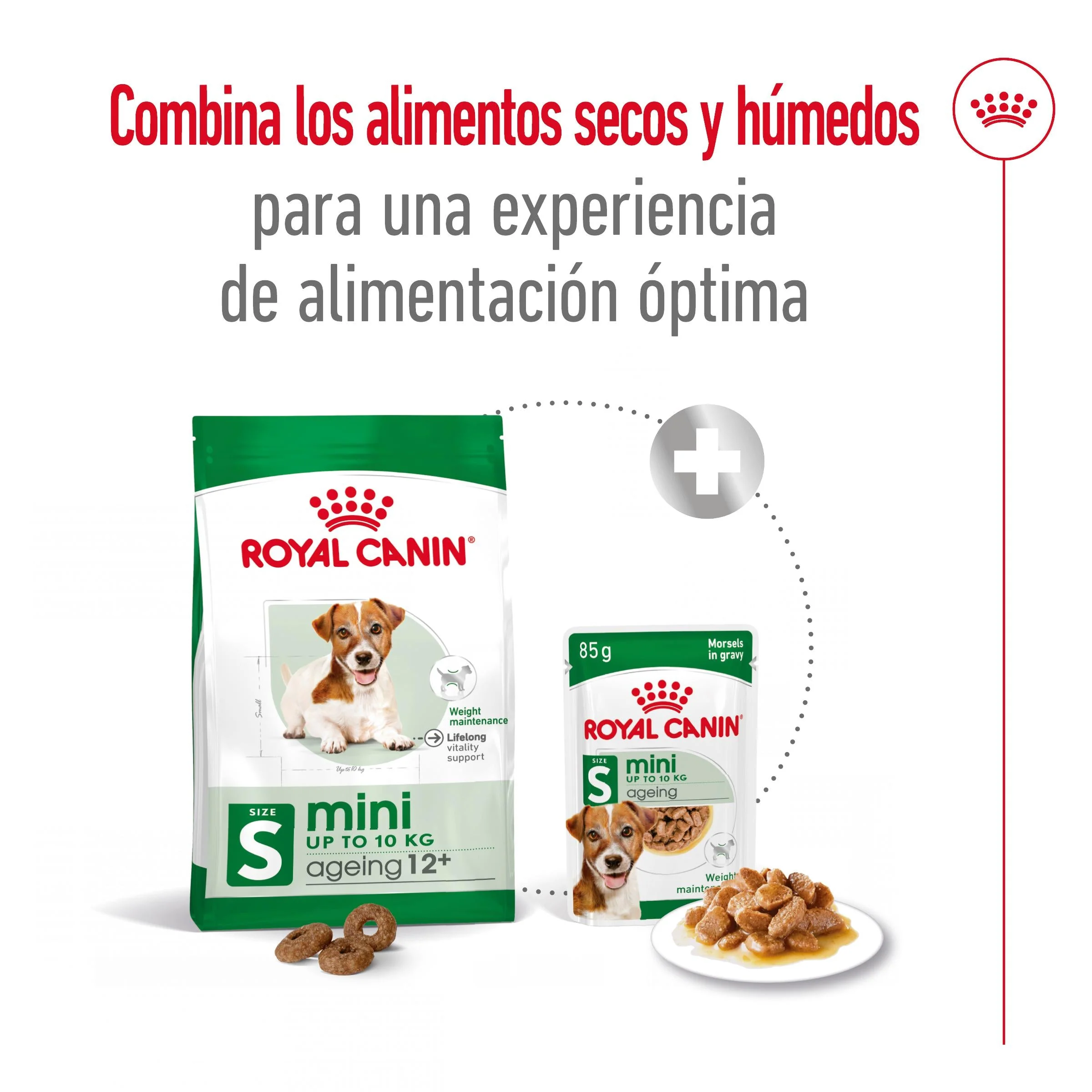 Royal Canin Mini Ageing+12 Pienso para Perros Senior - Image 3