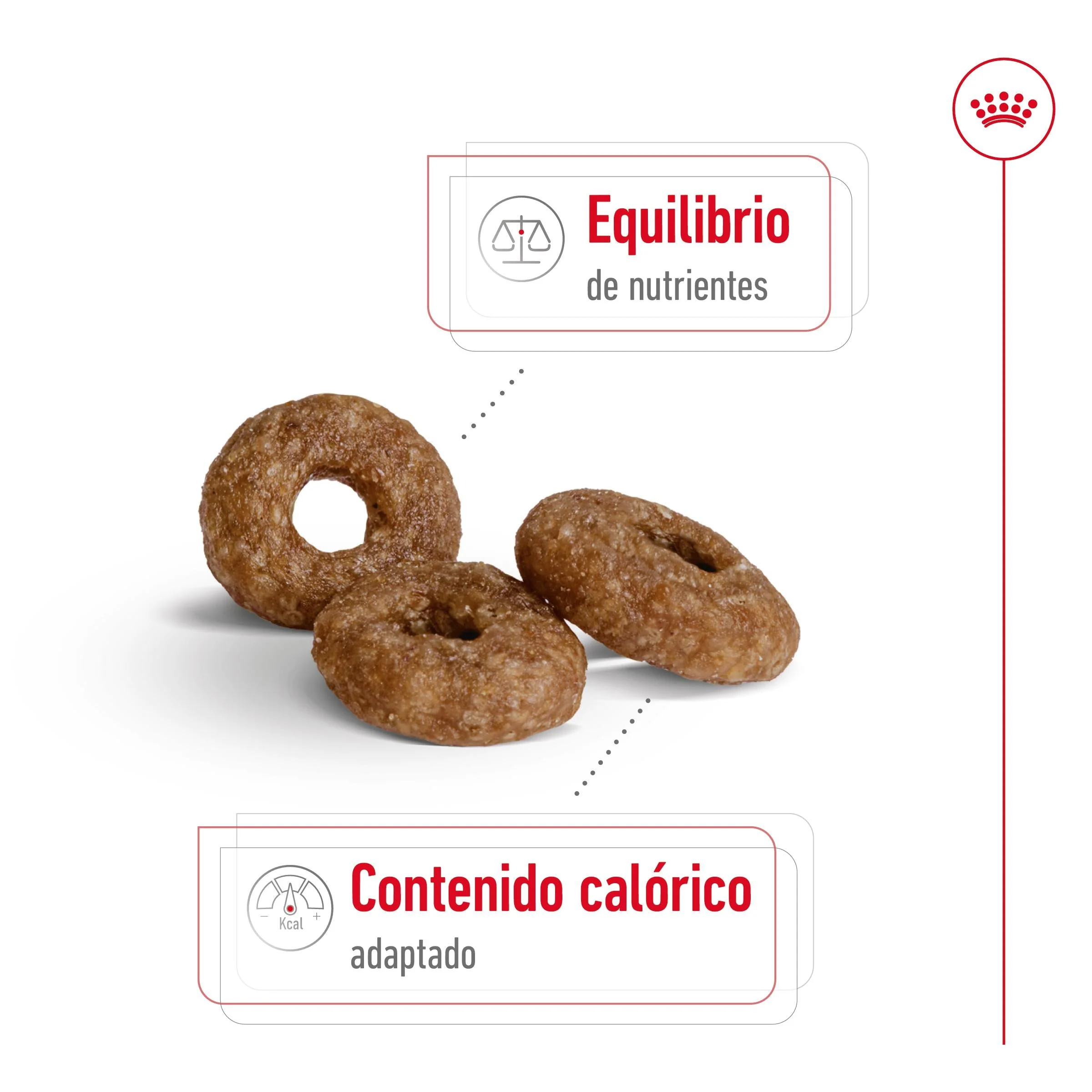 Royal Canin Mini Ageing+12 Pienso para Perros Senior - Image 5
