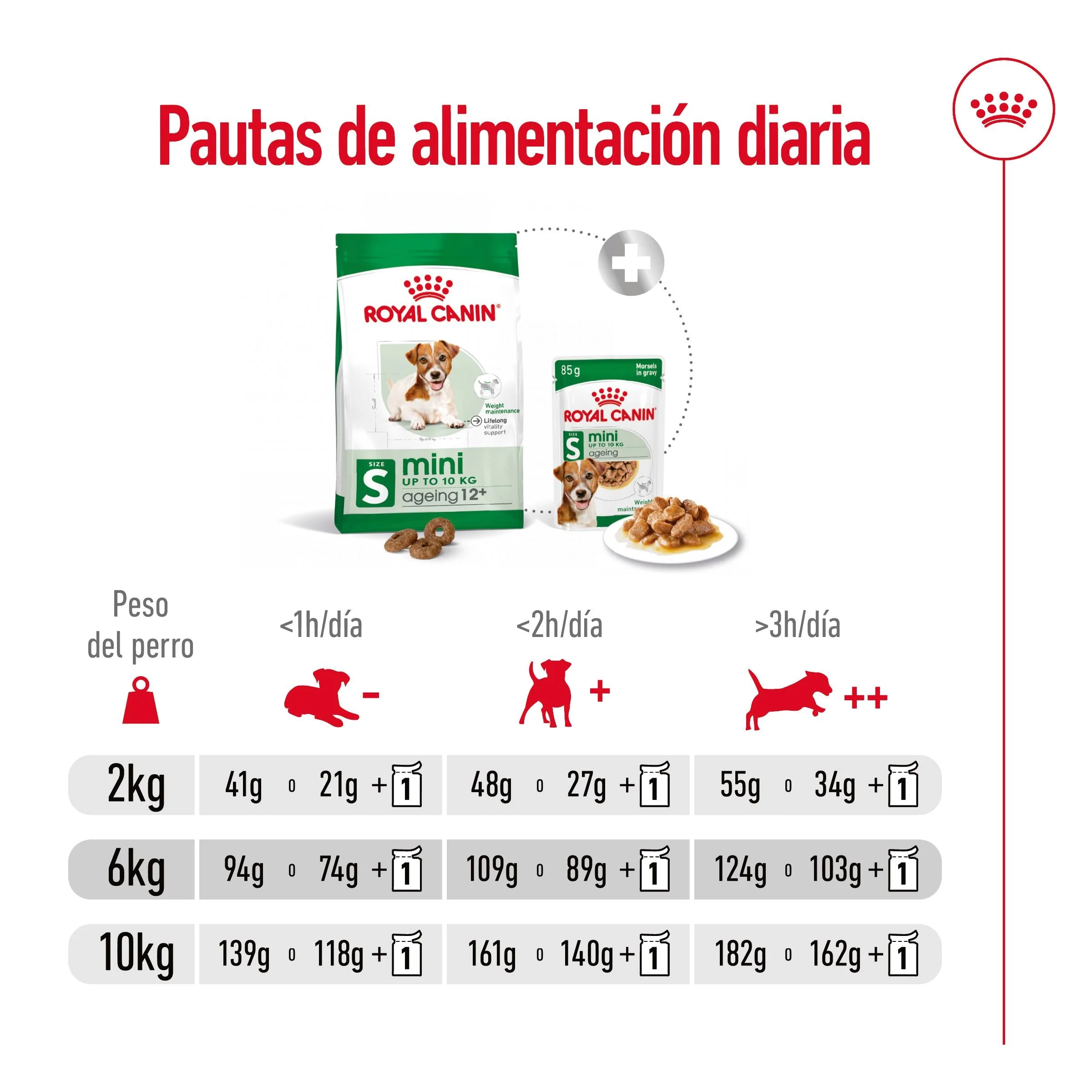 Royal Canin Mini Ageing+12 Pienso para Perros Senior - Image 6