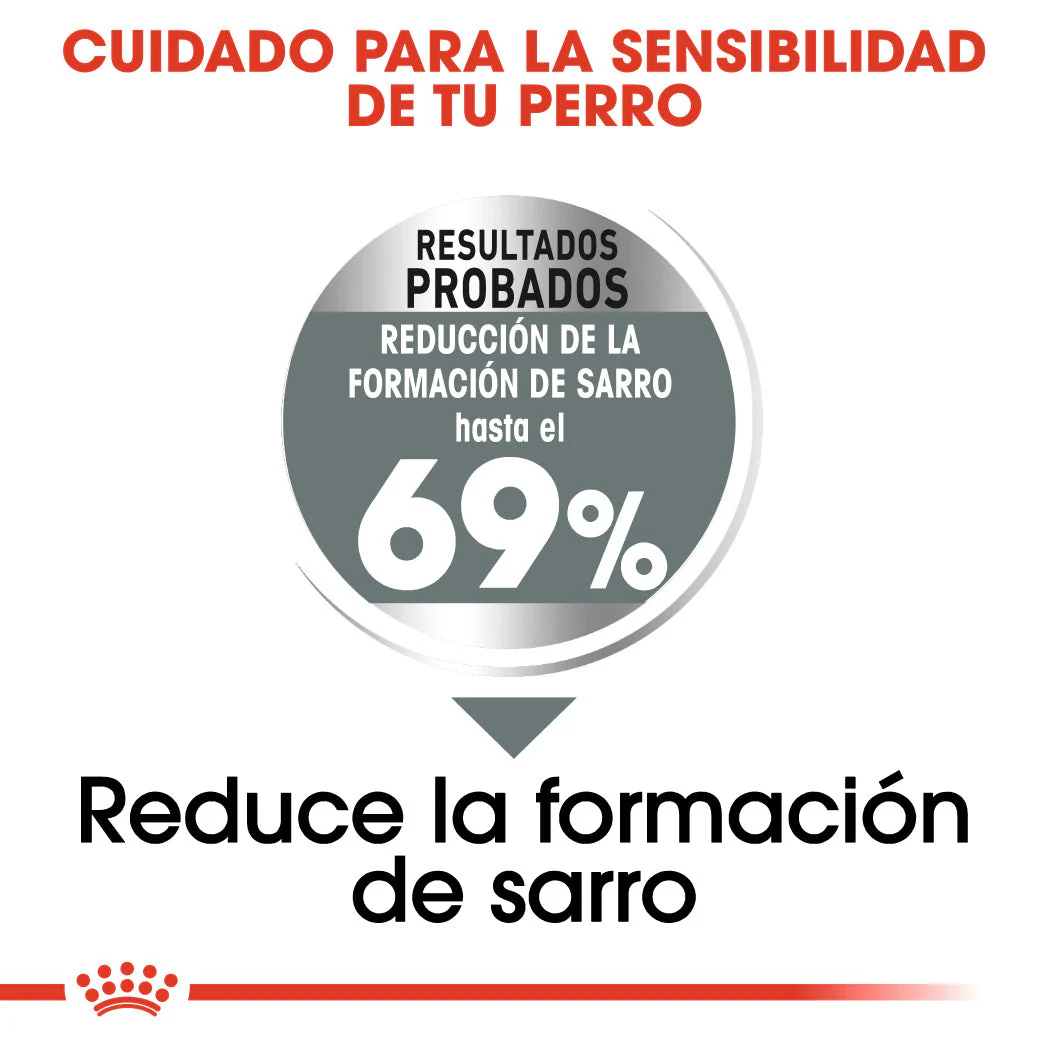 Royal Canin Mini Dental Care Pienso para Perros - Image 5