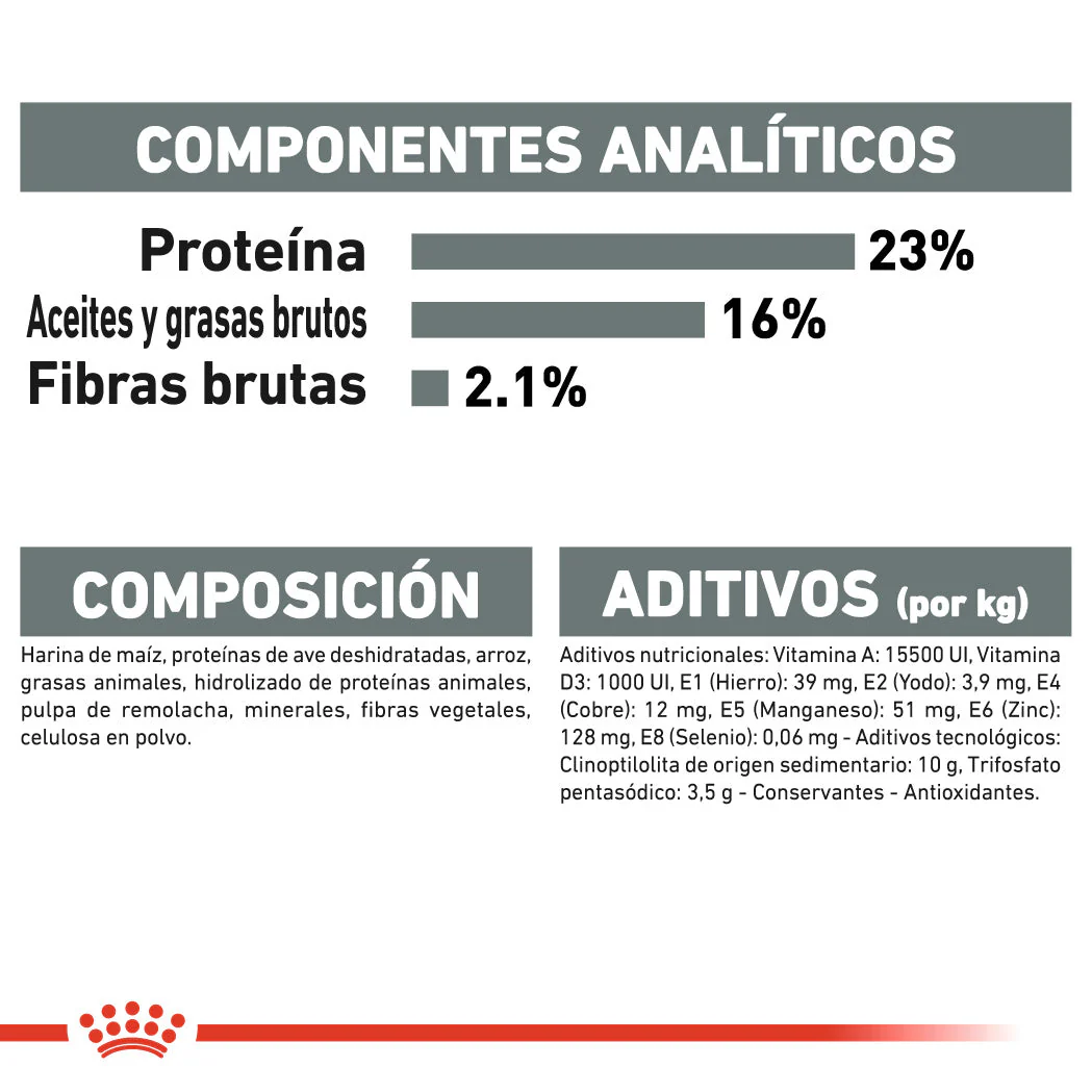 Royal Canin Mini Dental Care Pienso para Perros - Image 6